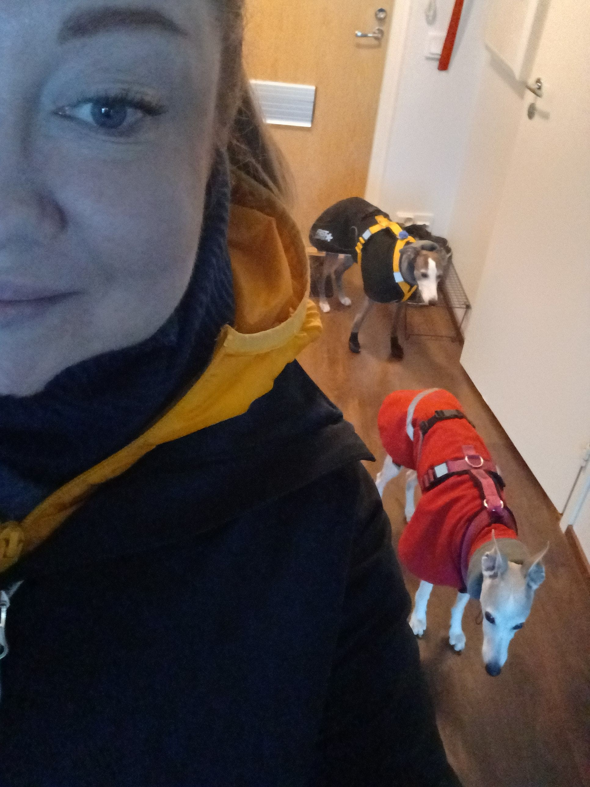 image-15