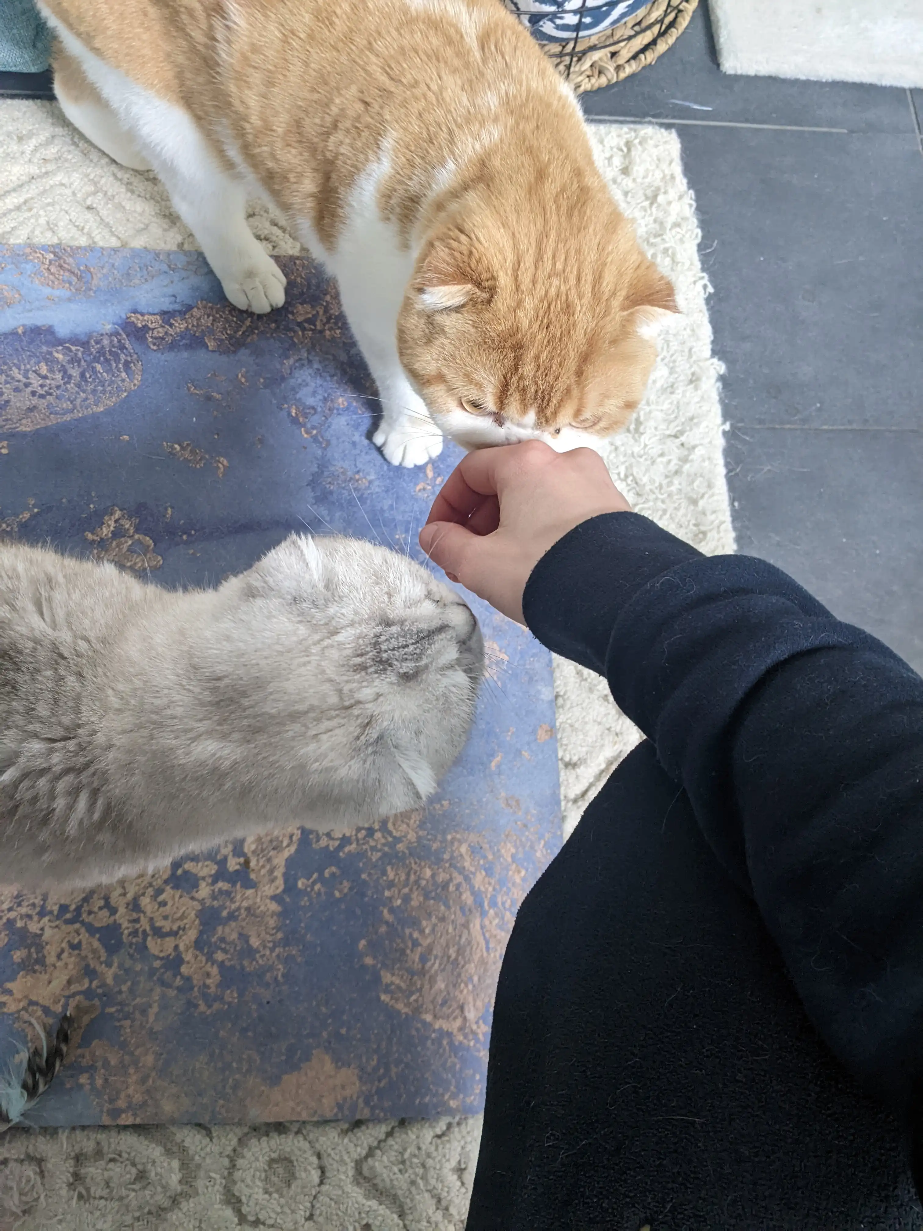 image-8