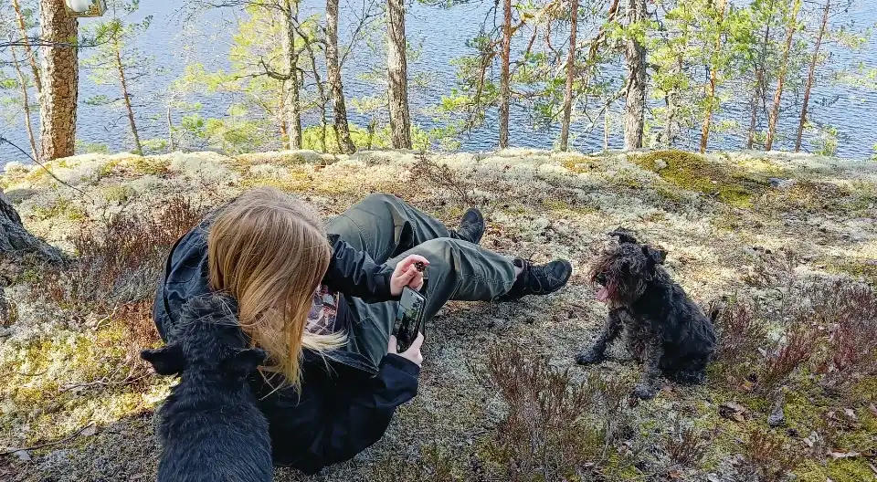 image-8