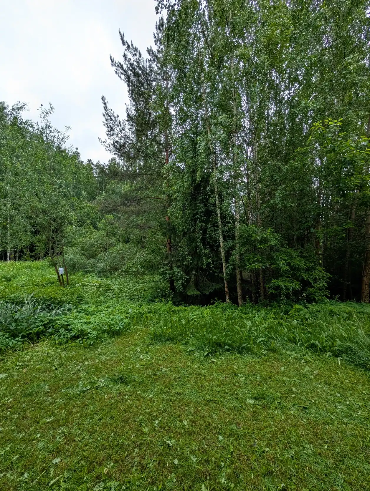 image-20