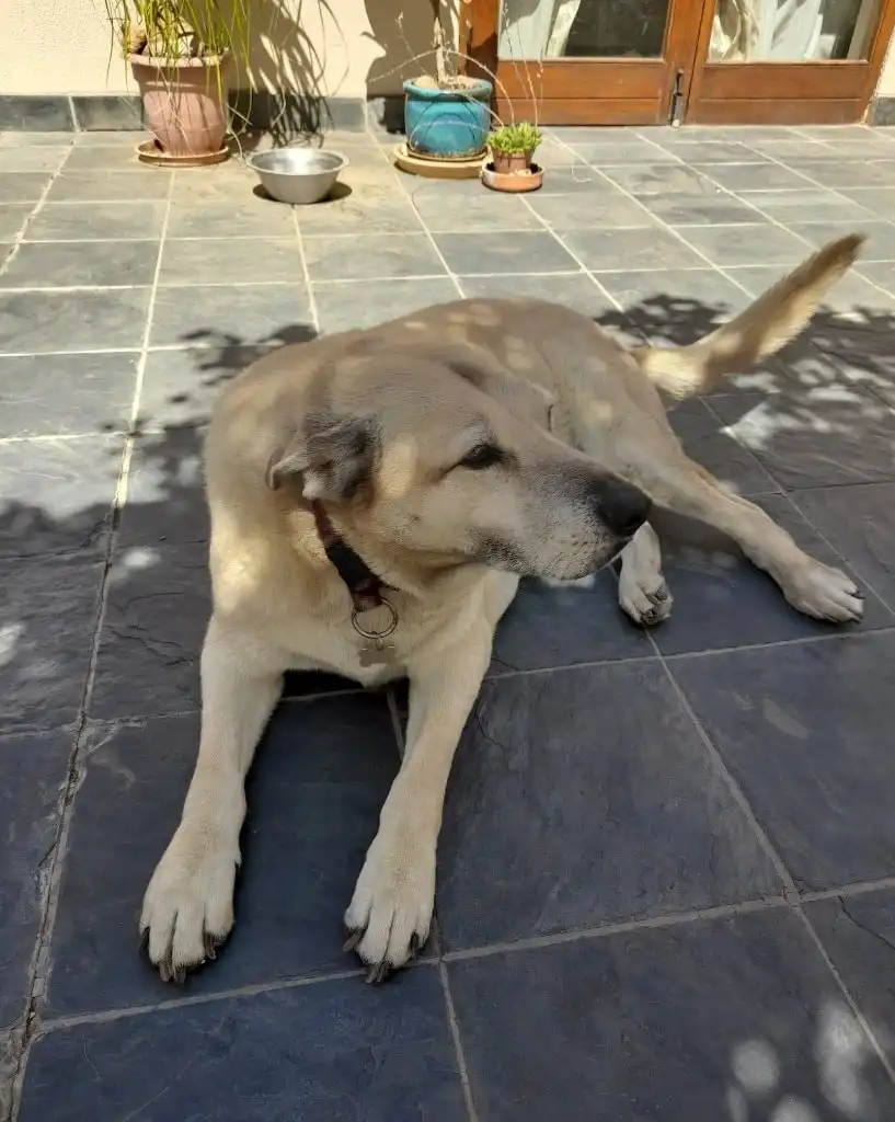 image-6