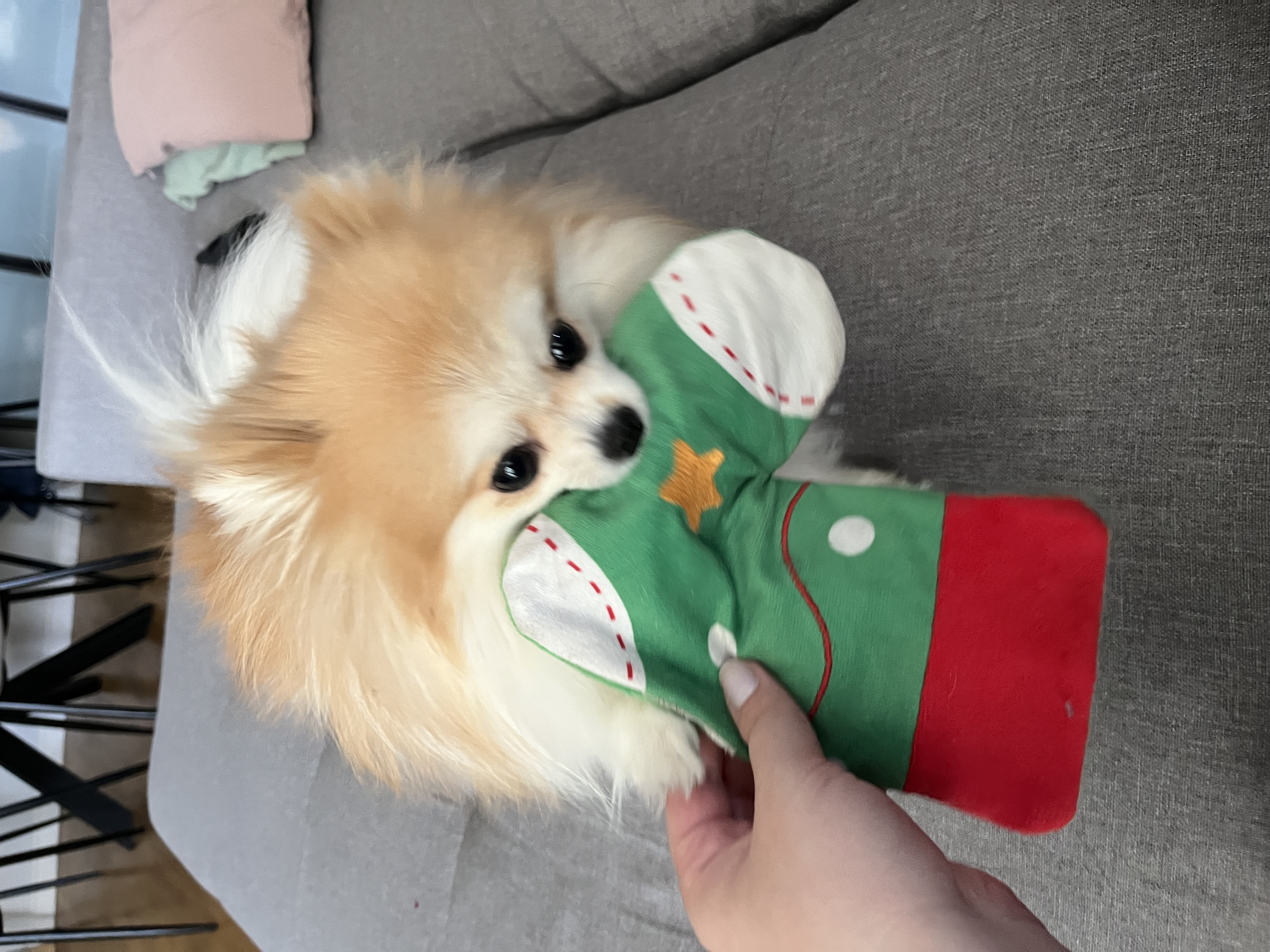 image-6