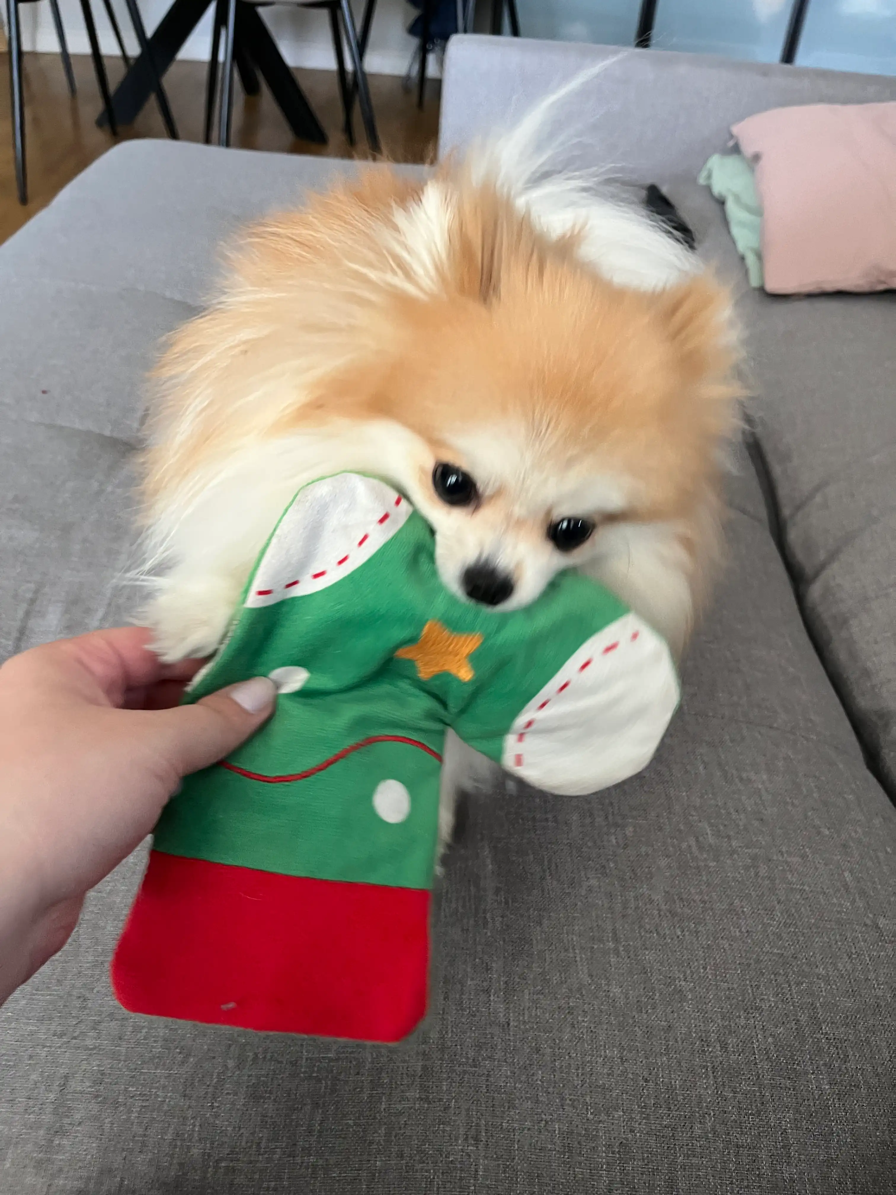 image-6