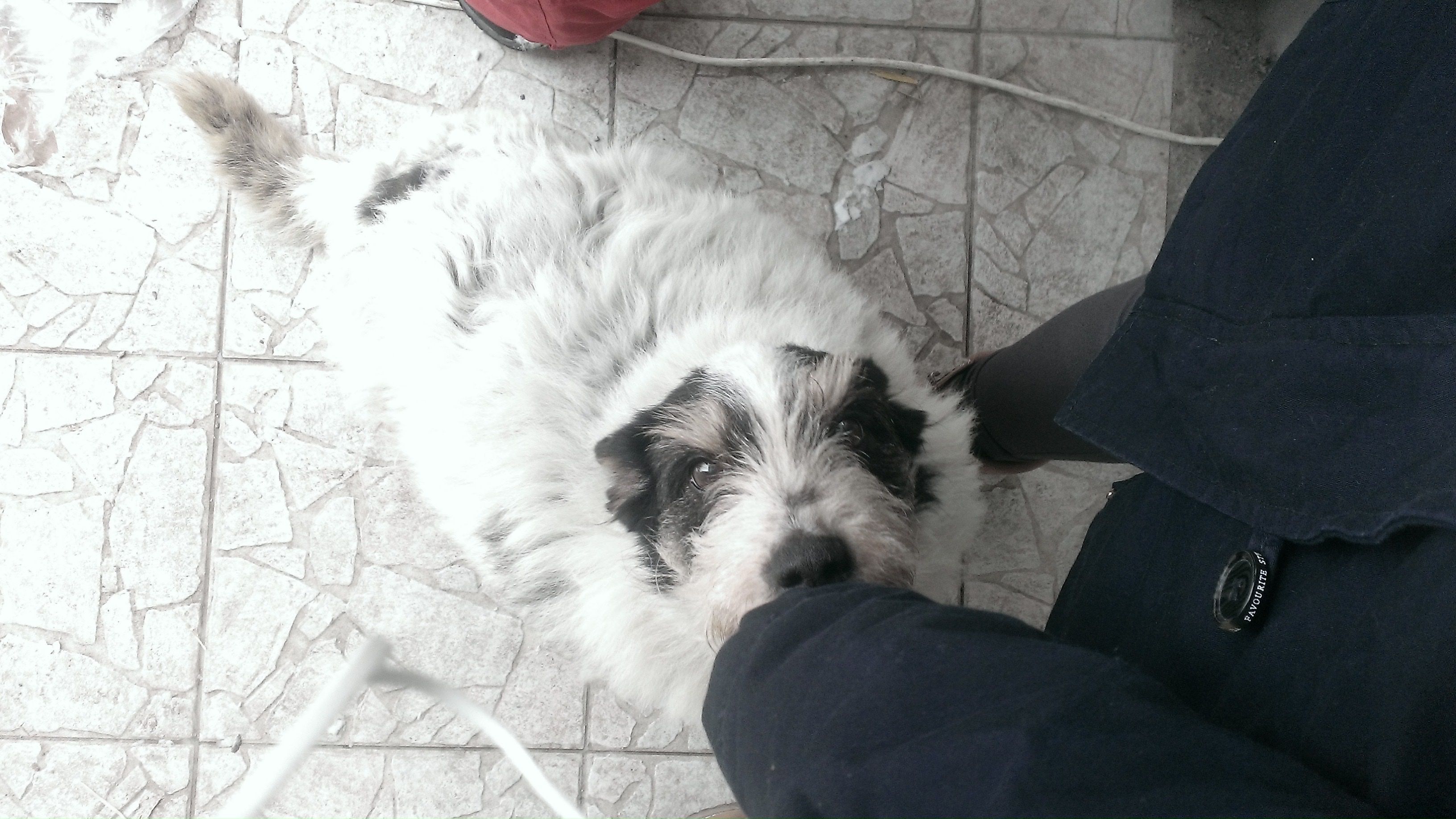 image-6