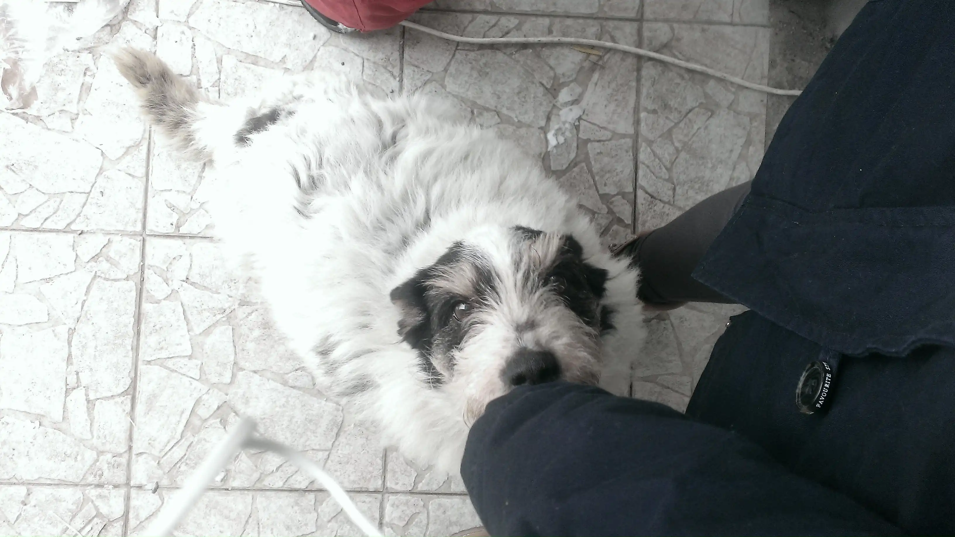 image-6