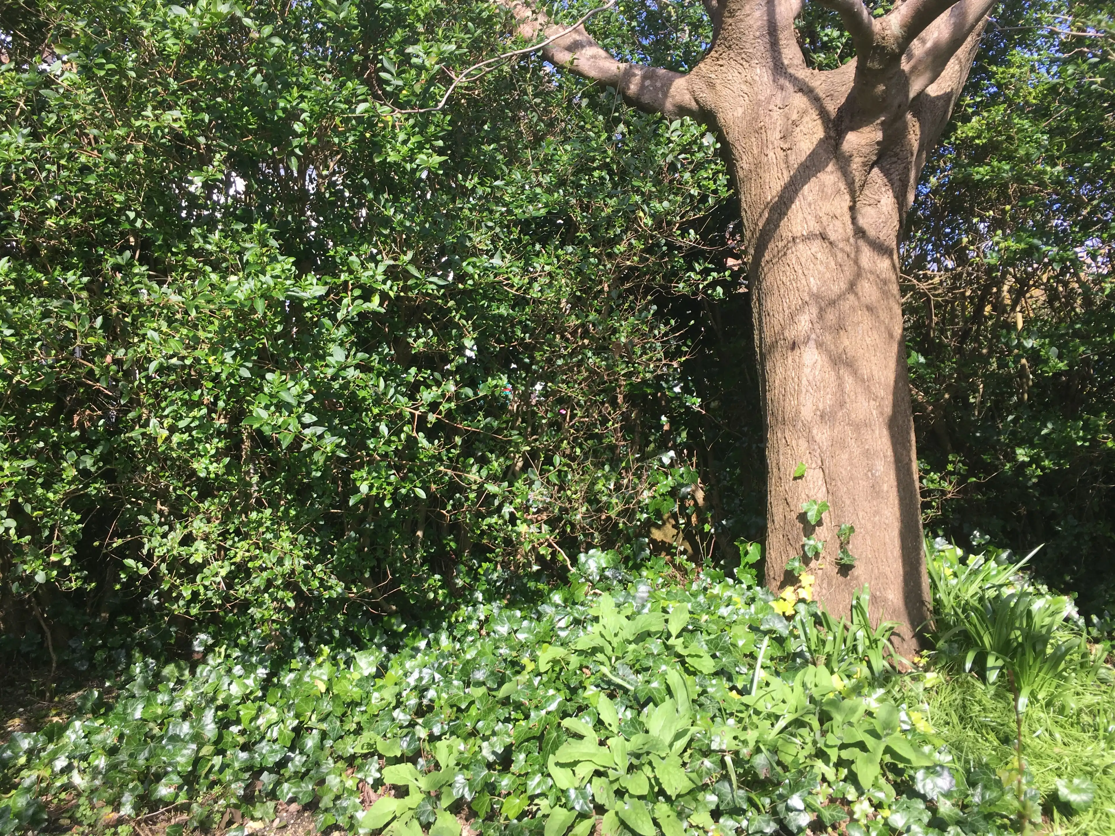 image-10