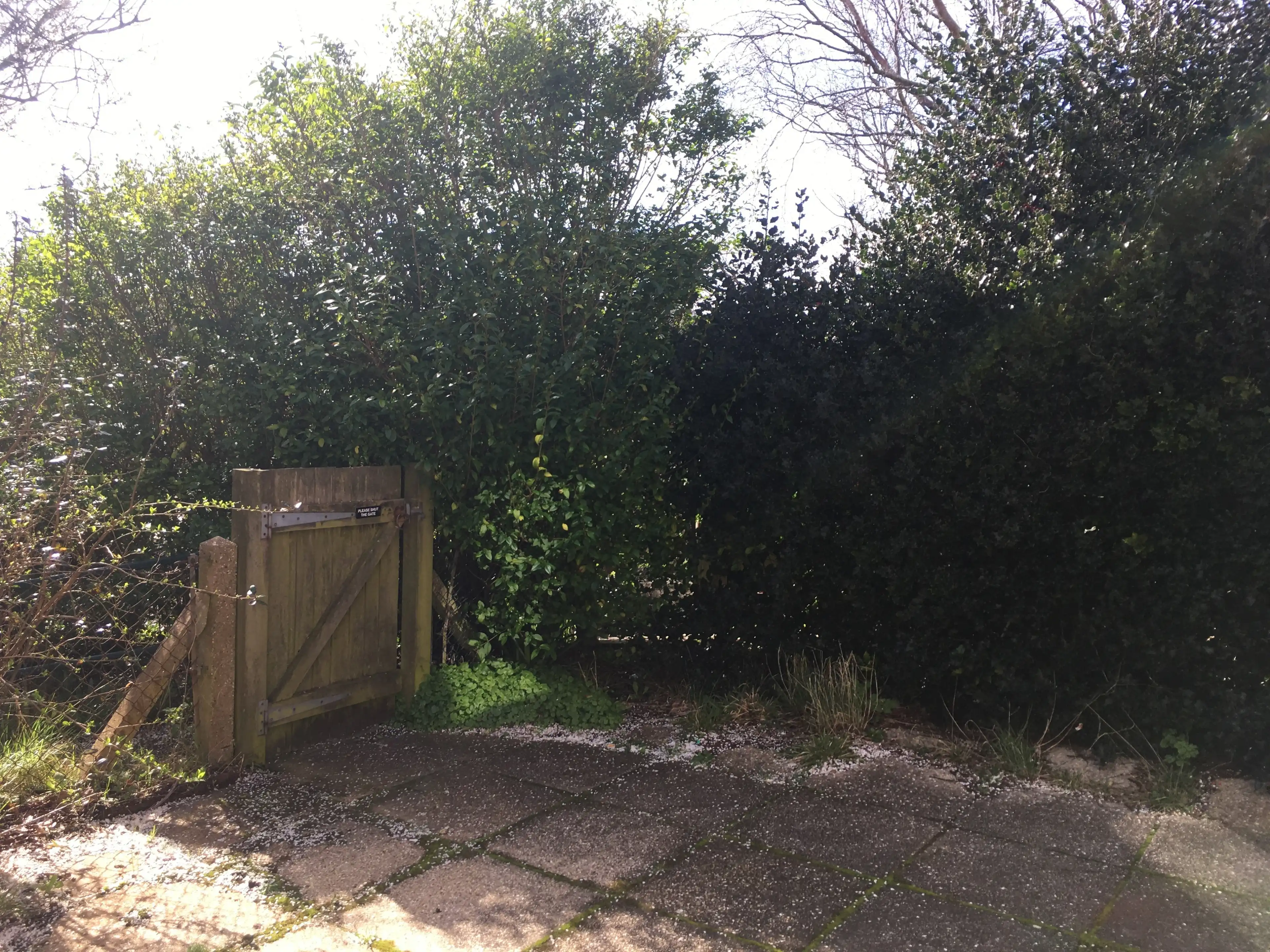 image-9
