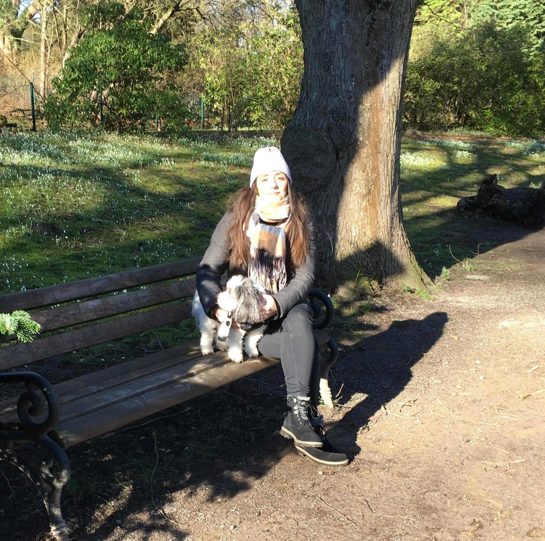 image-1