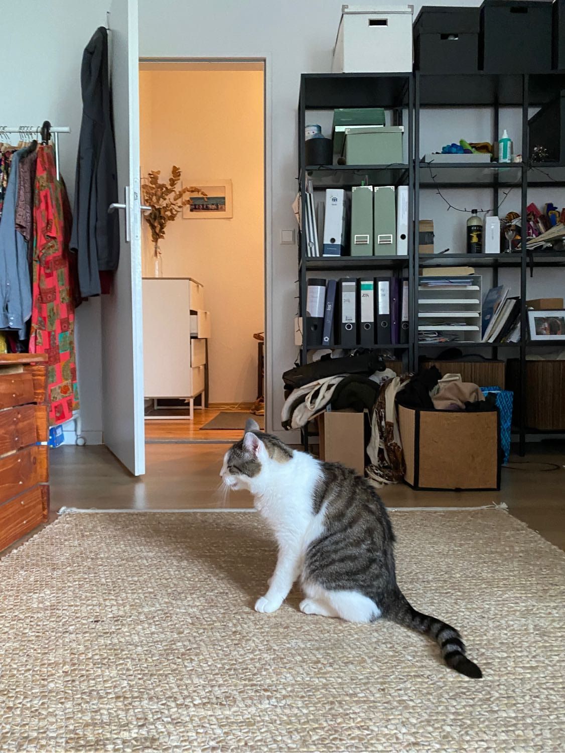 image-11