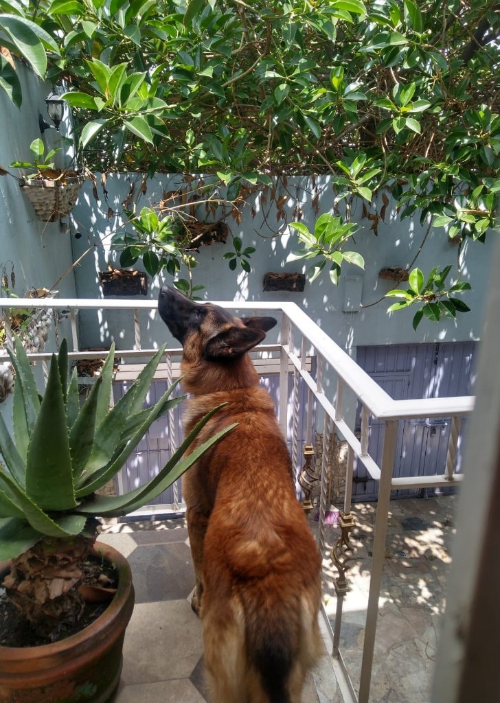 image-7