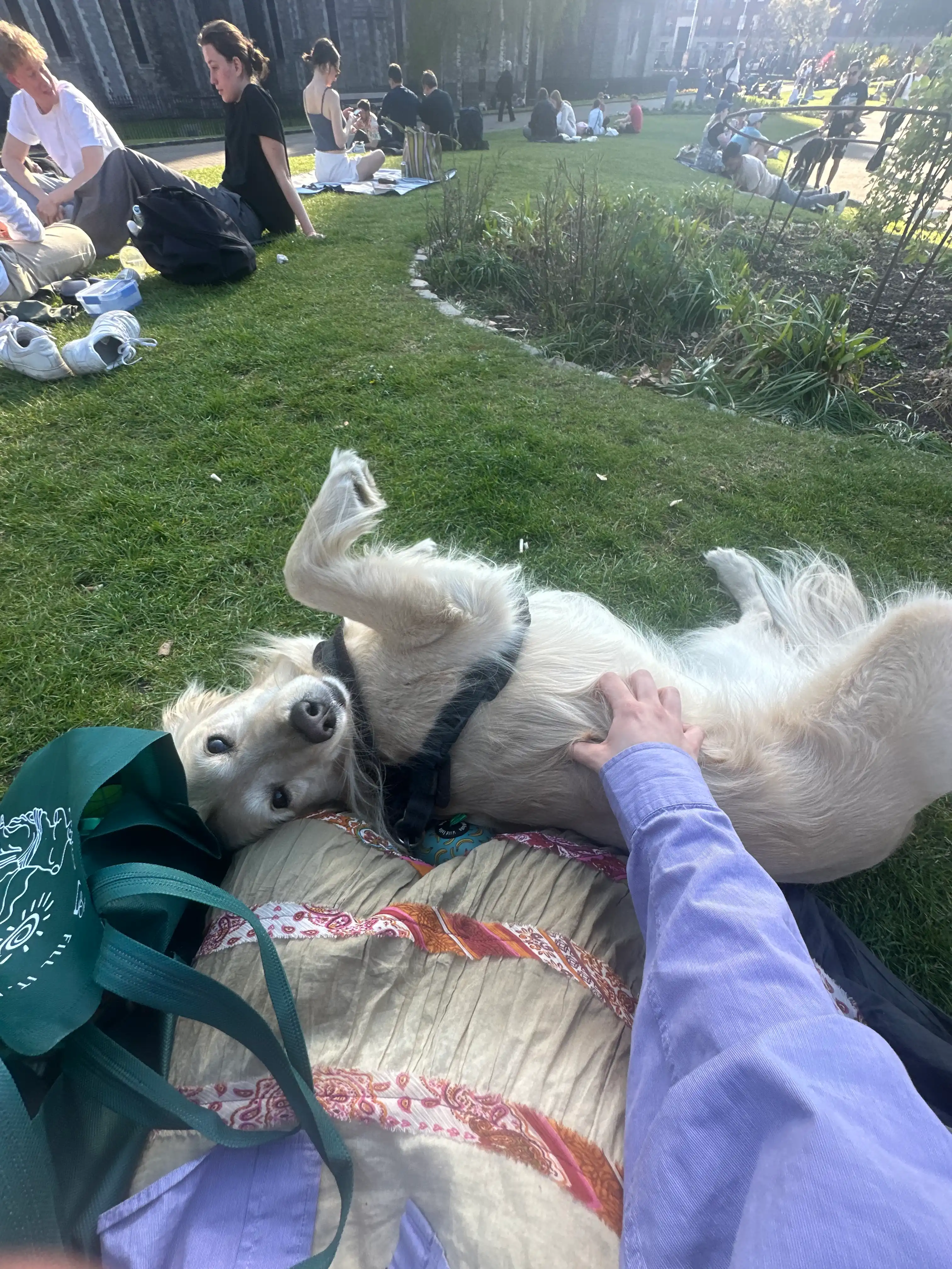 image-7