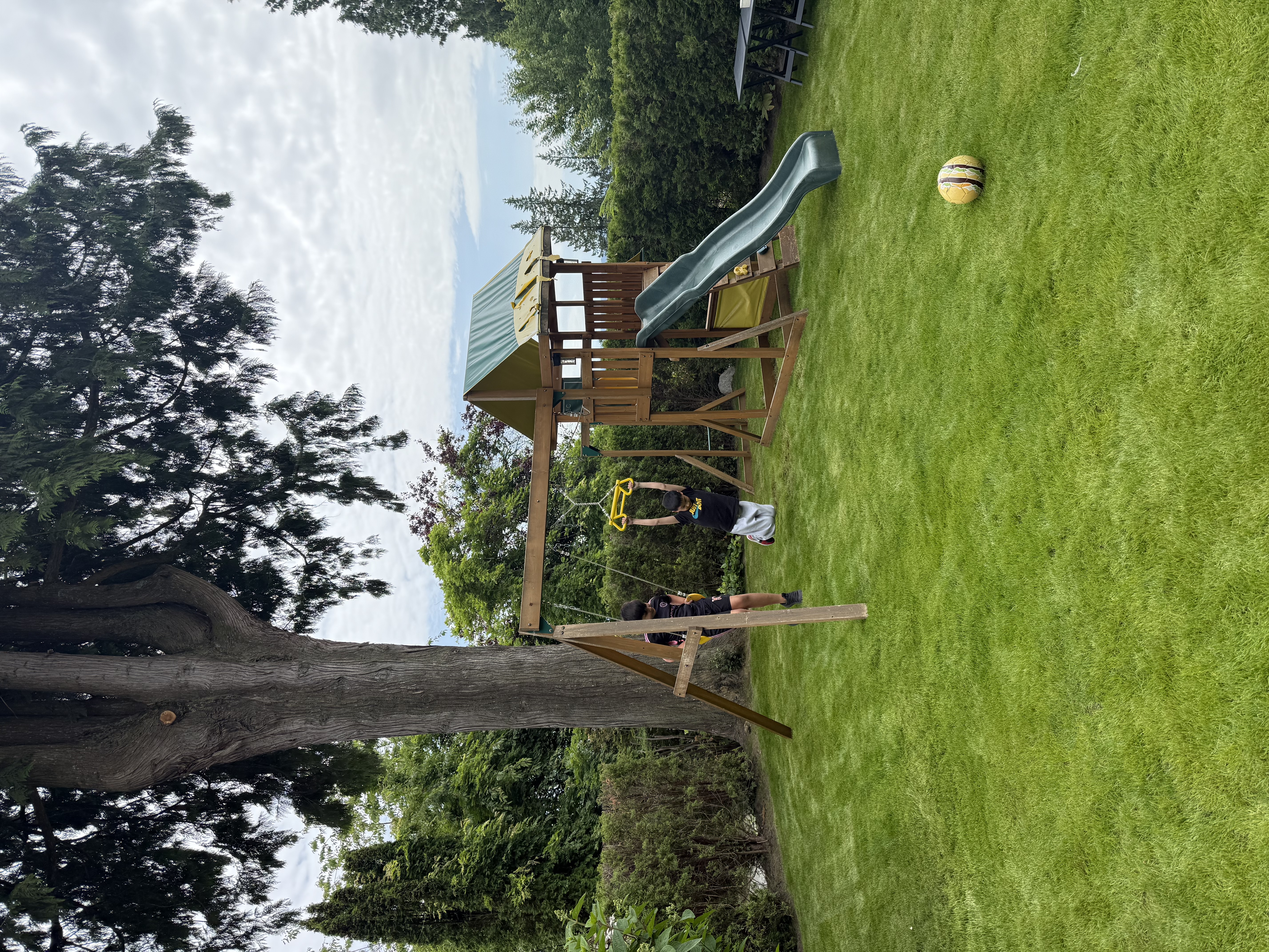 image-13