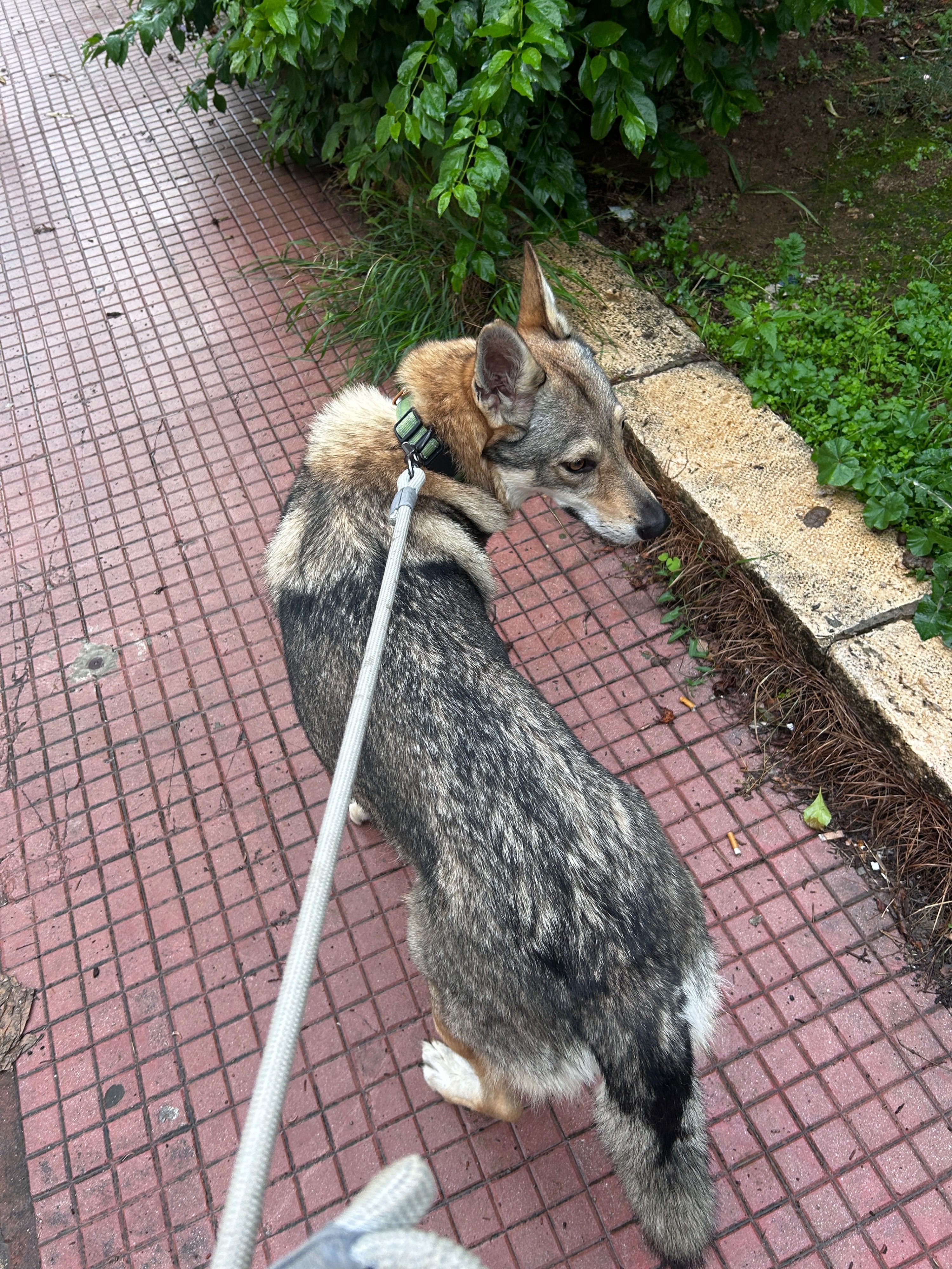 image-5