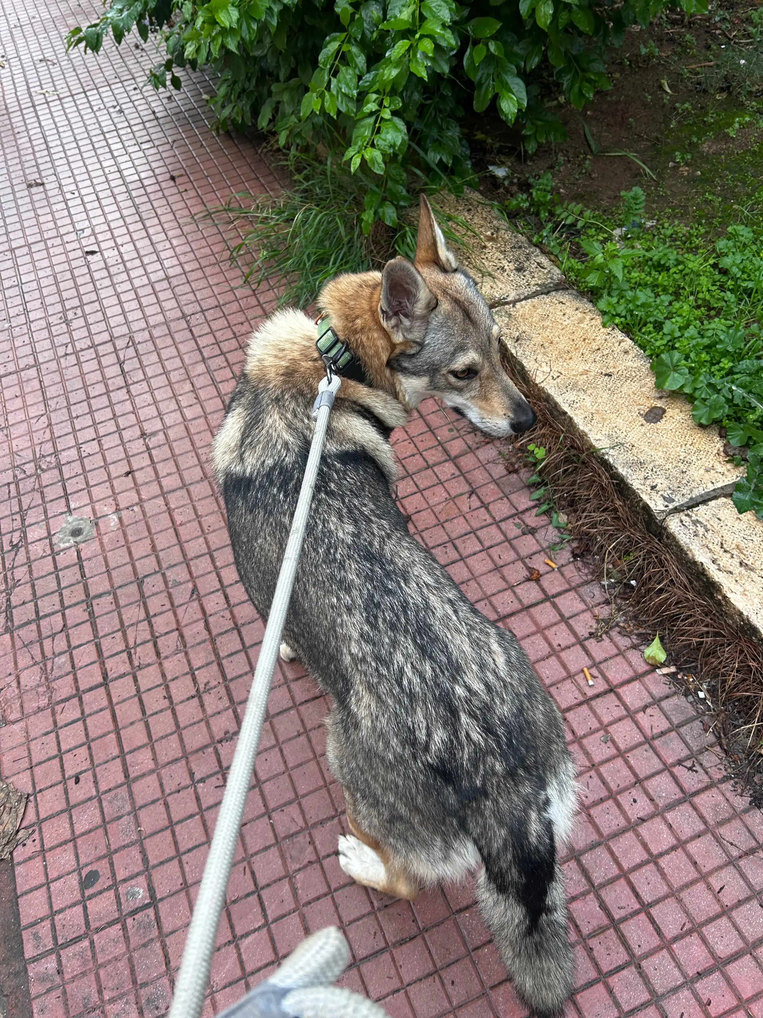 image-5