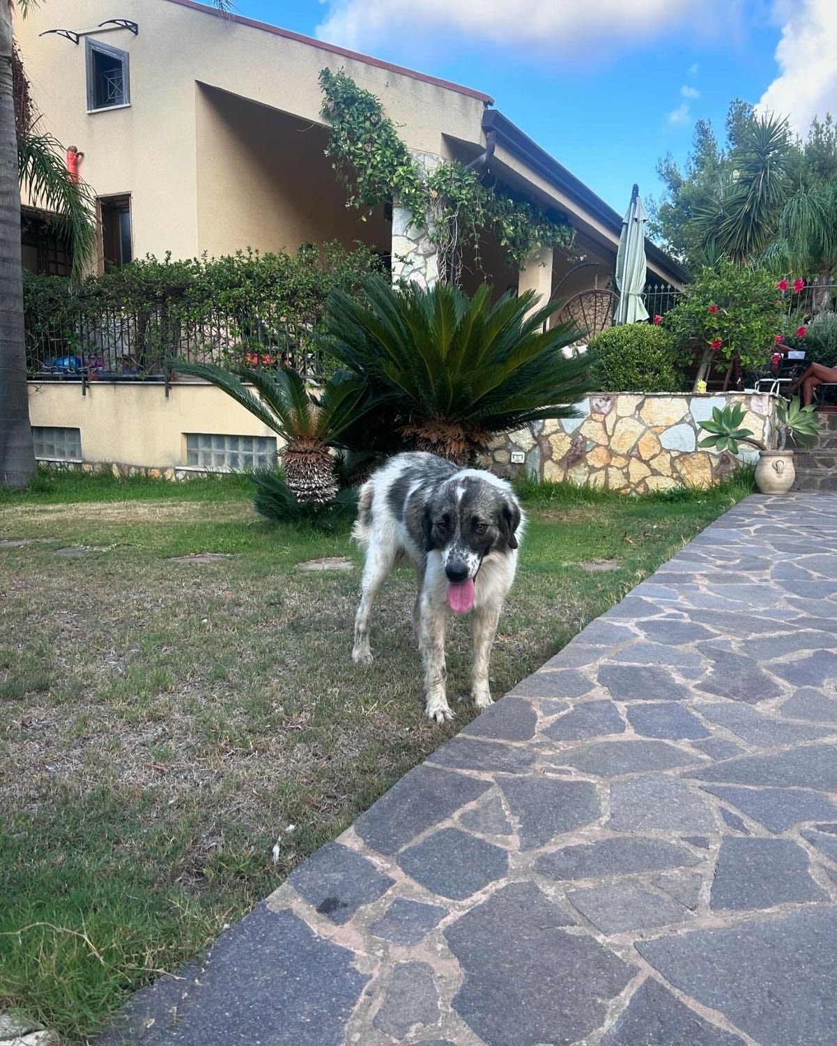 image-4
