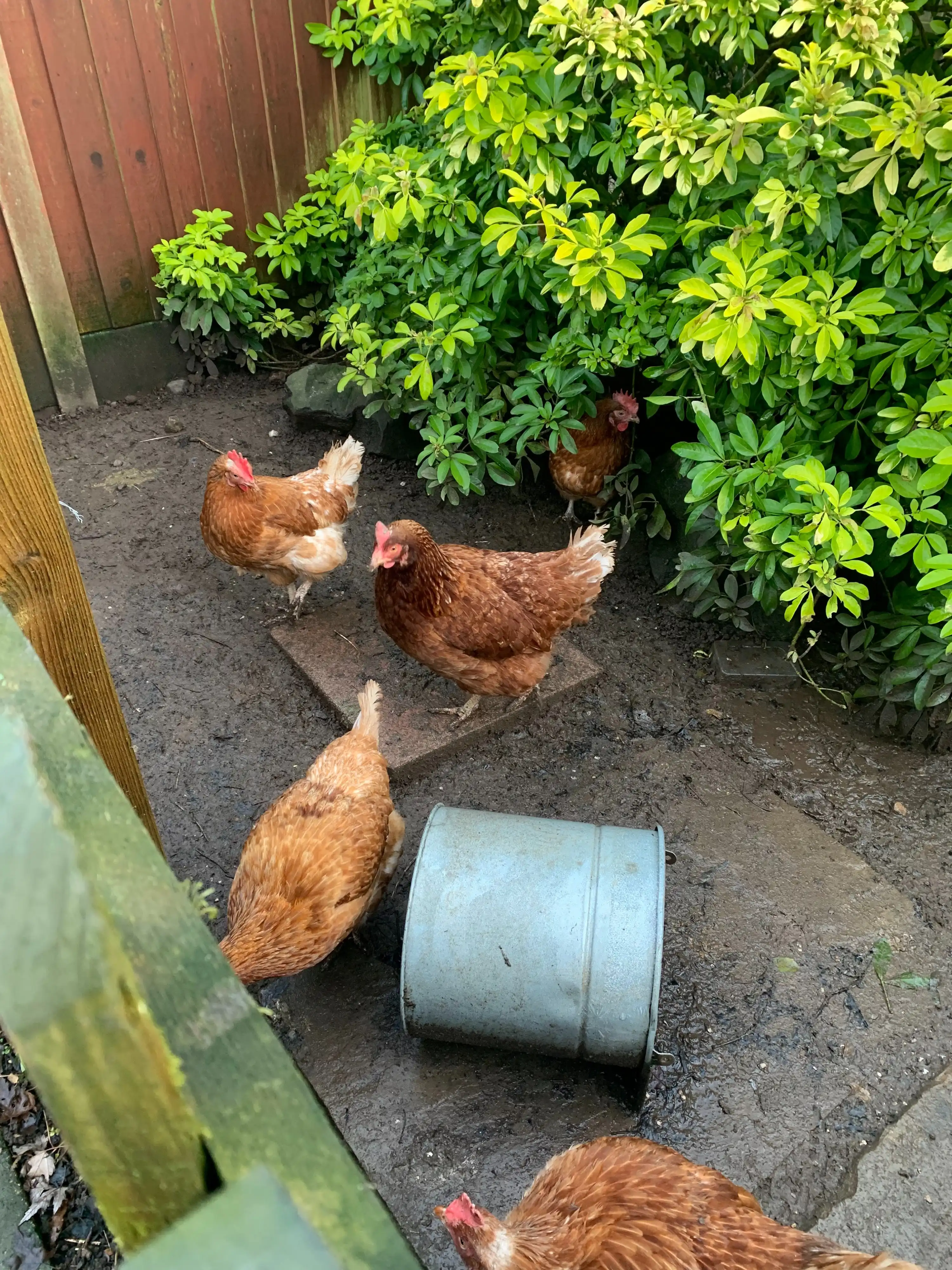 image-16