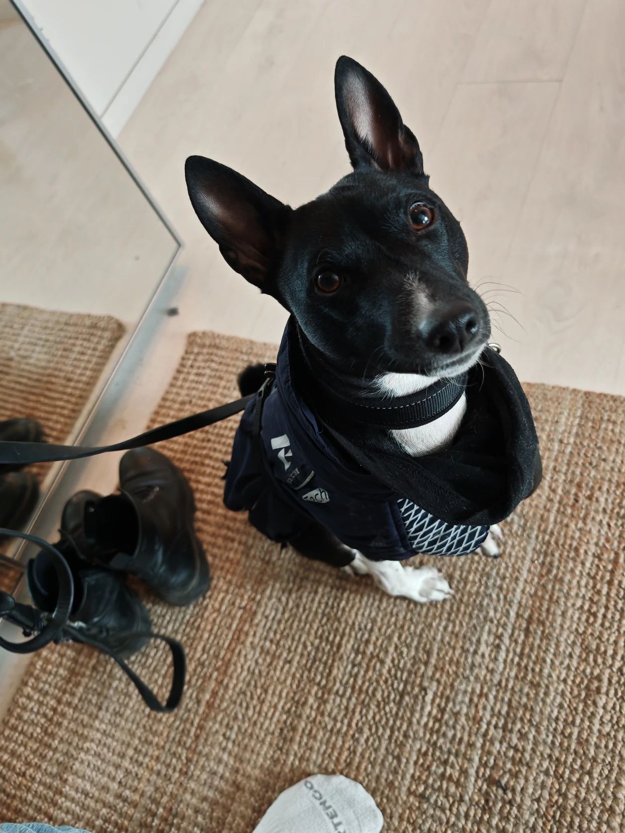 image-8