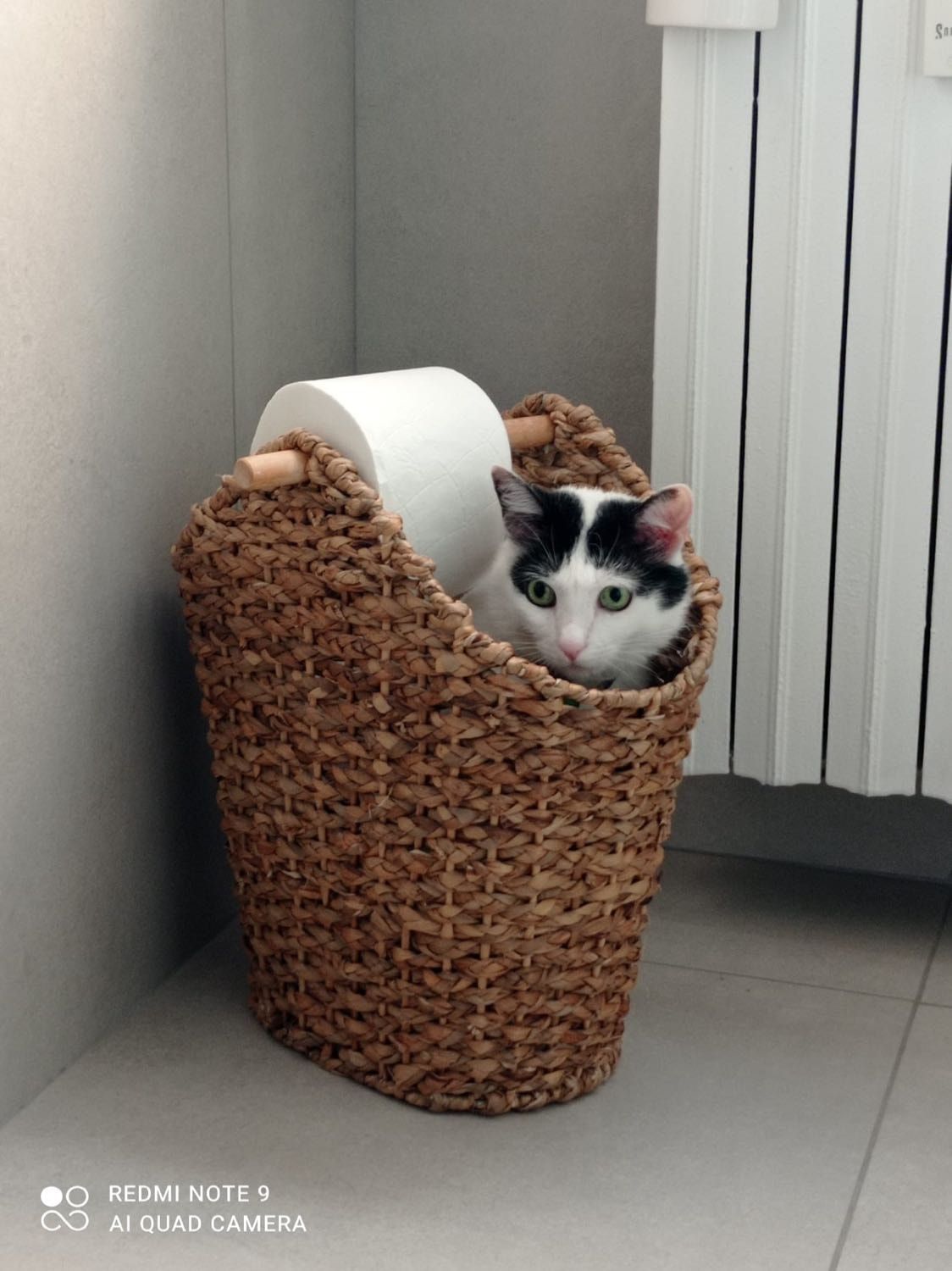 image-5