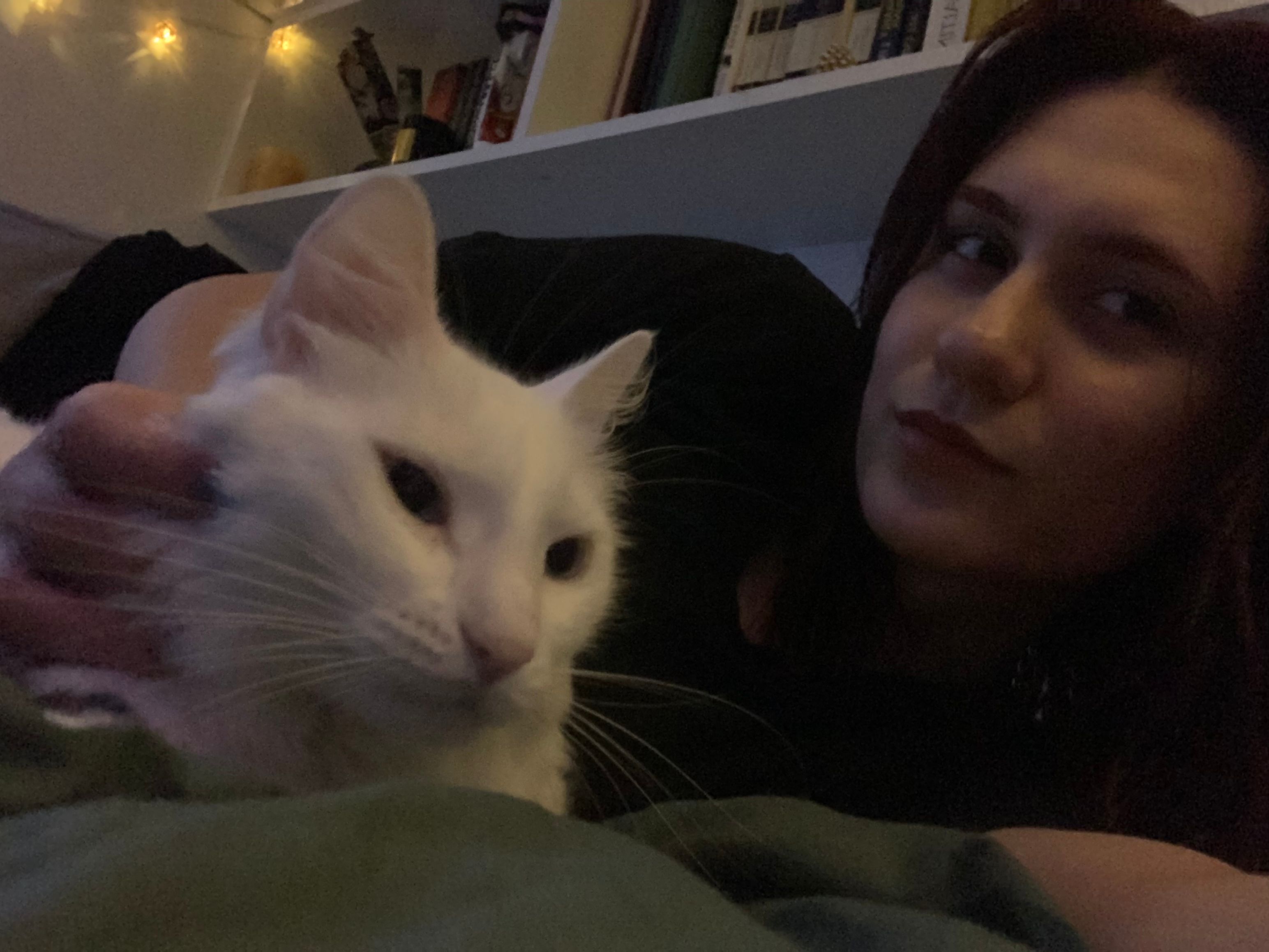 image-8