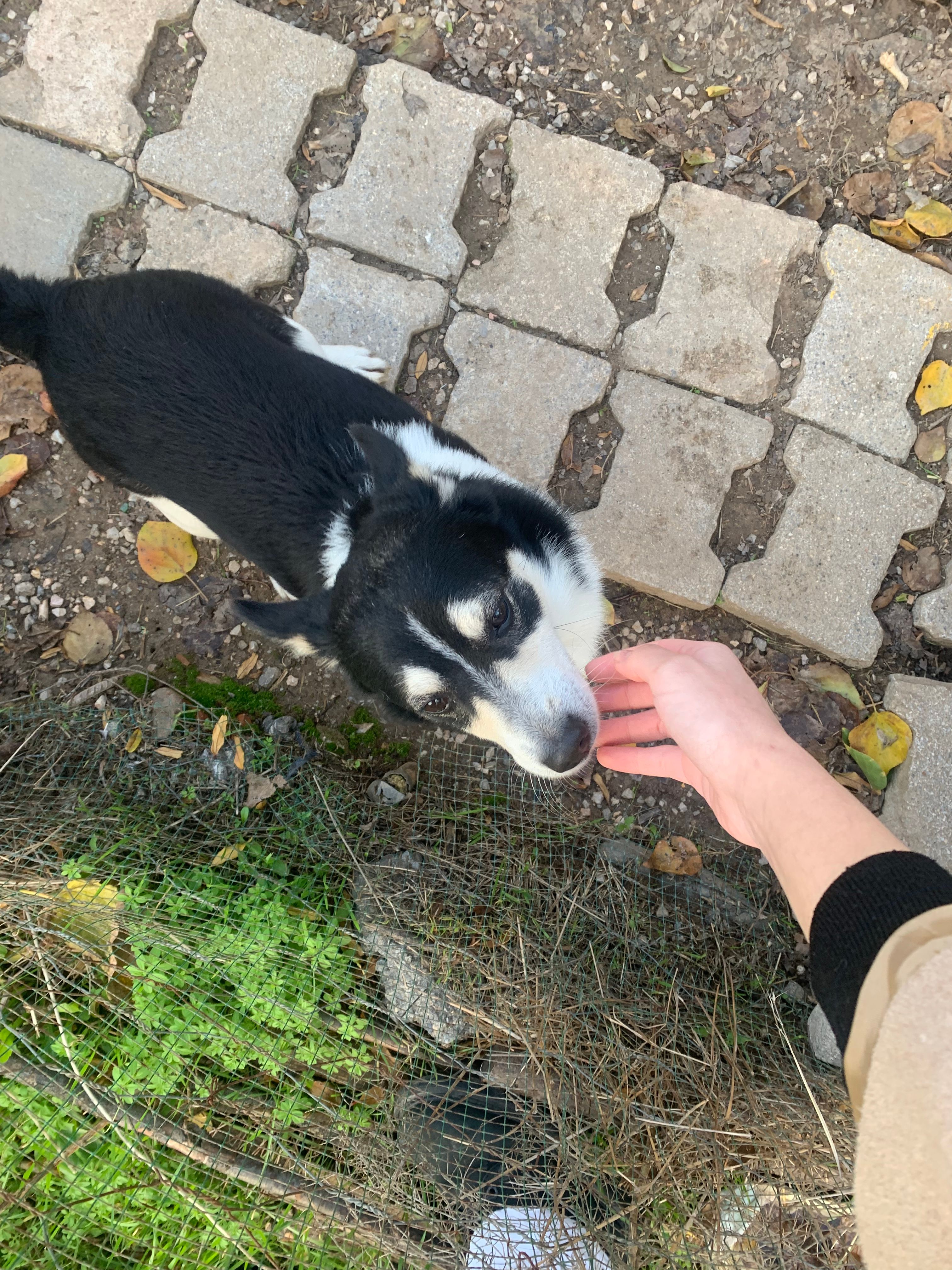 image-14