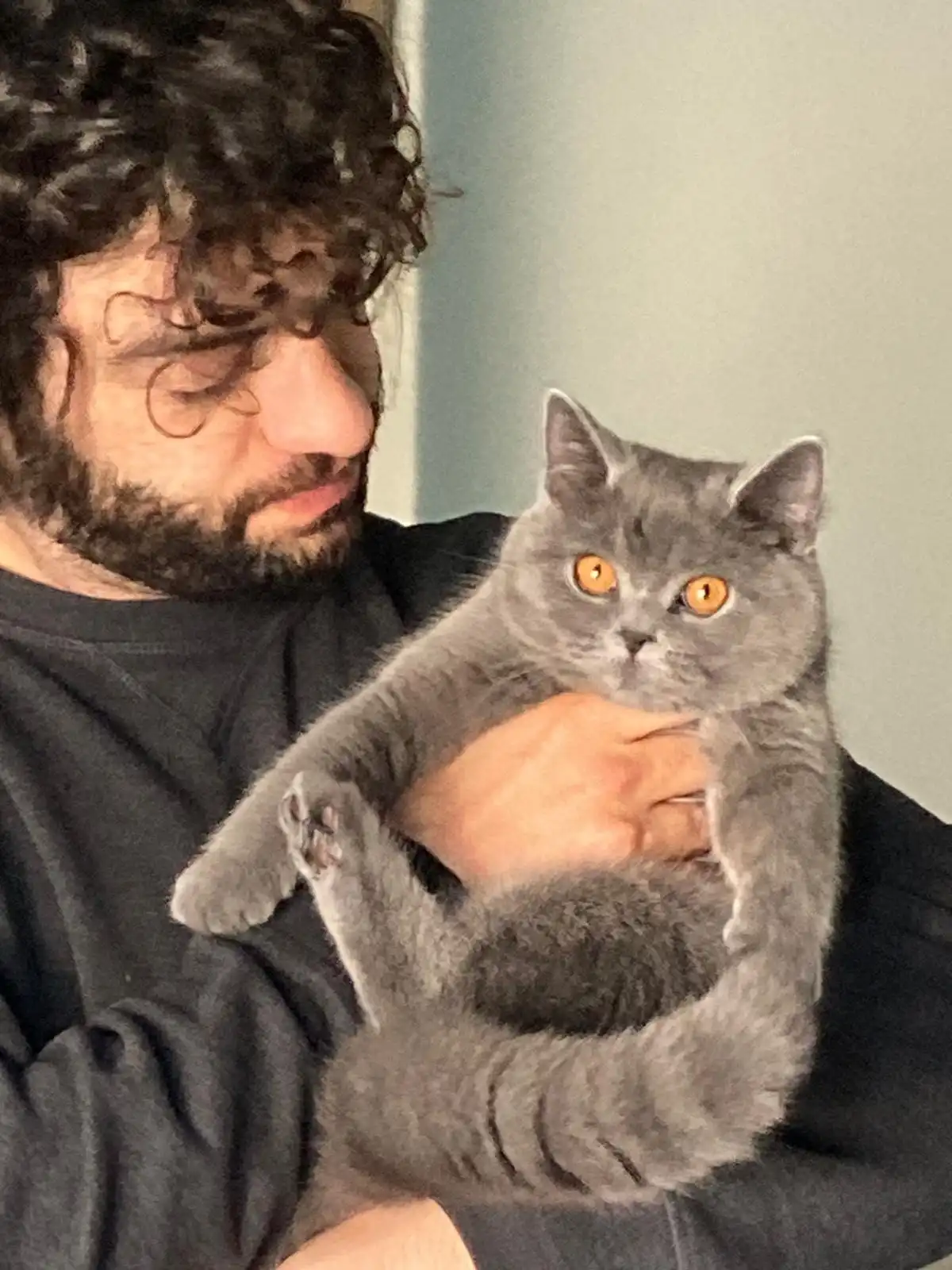 image-6