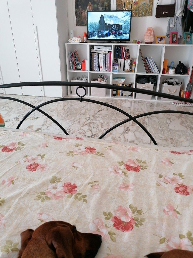 image-7