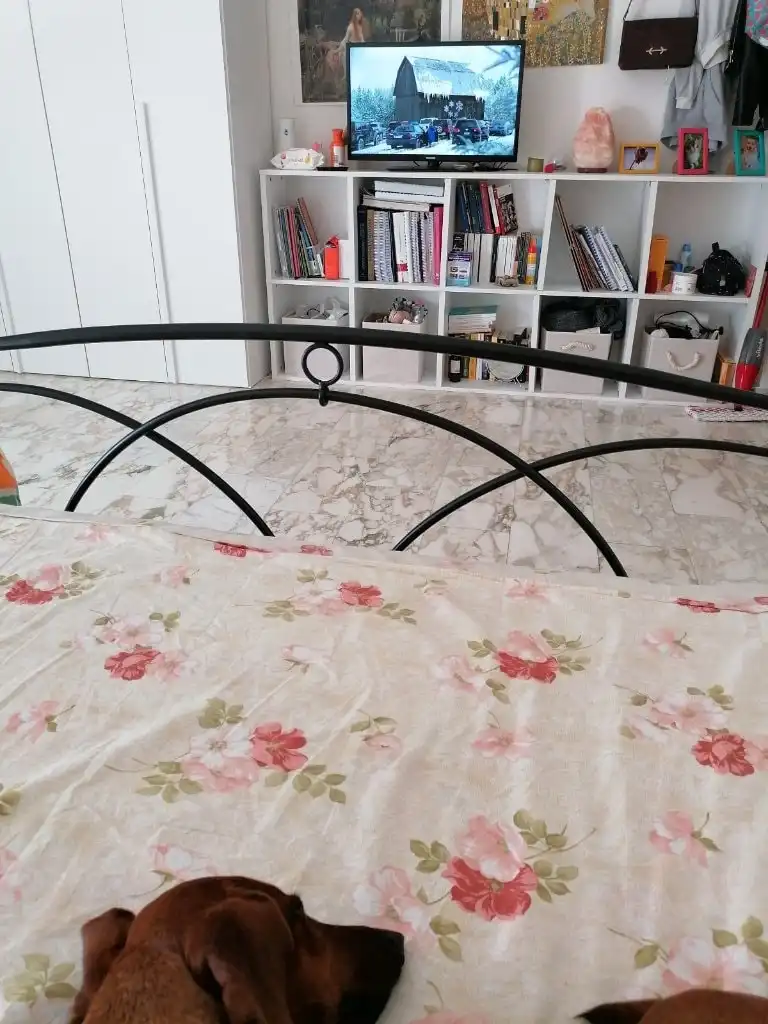 image-7