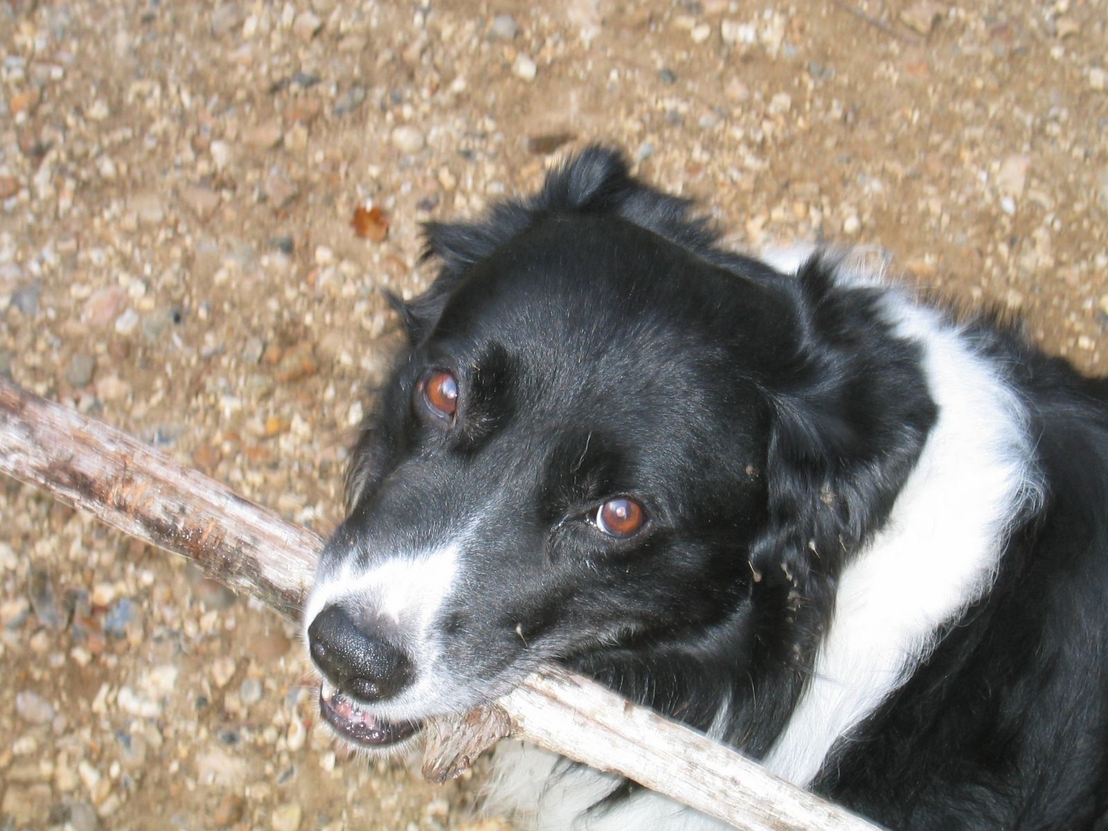 image-5