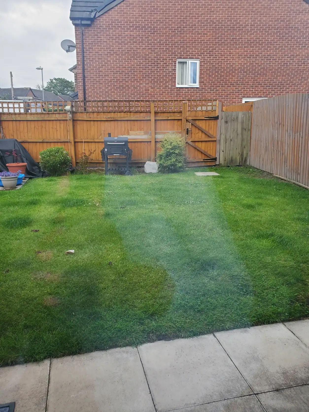 image-16