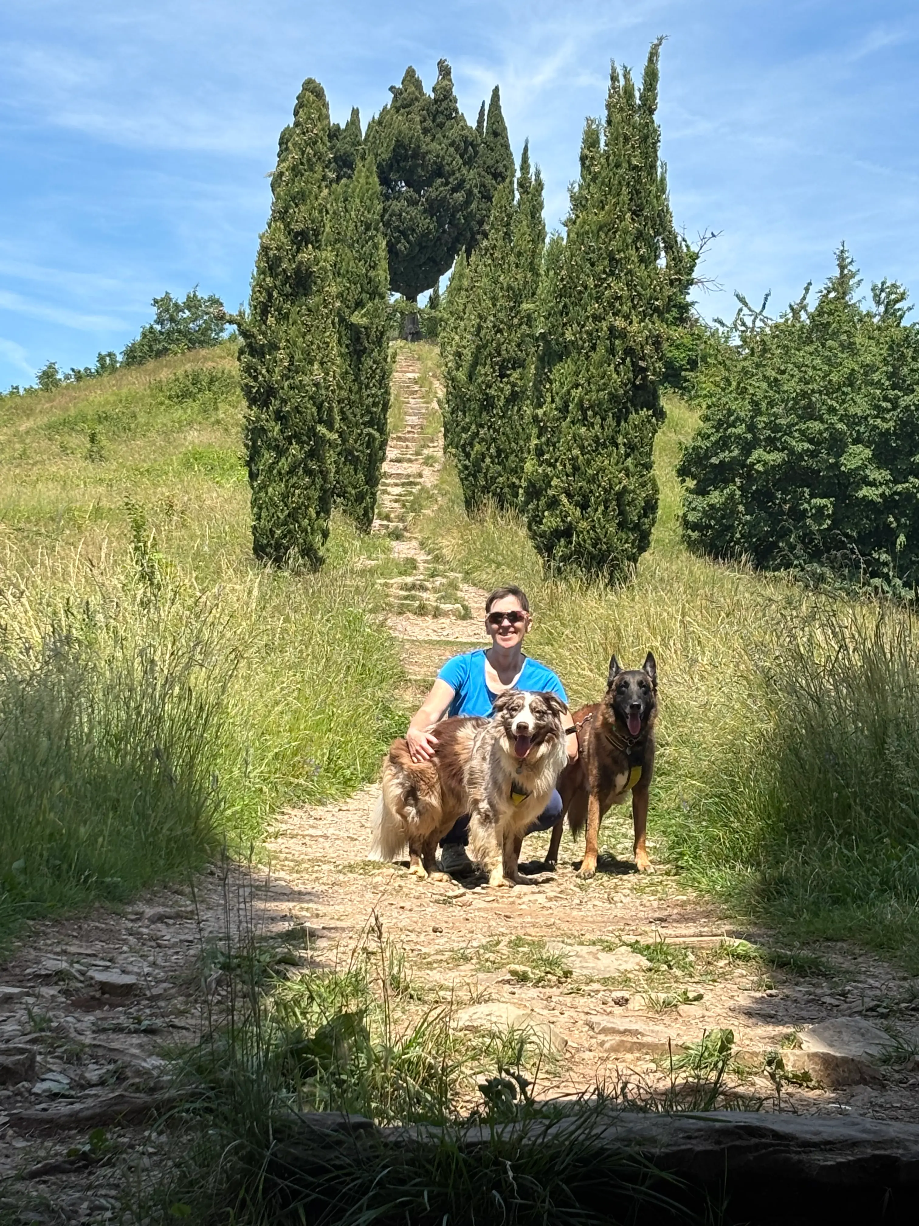 image-4