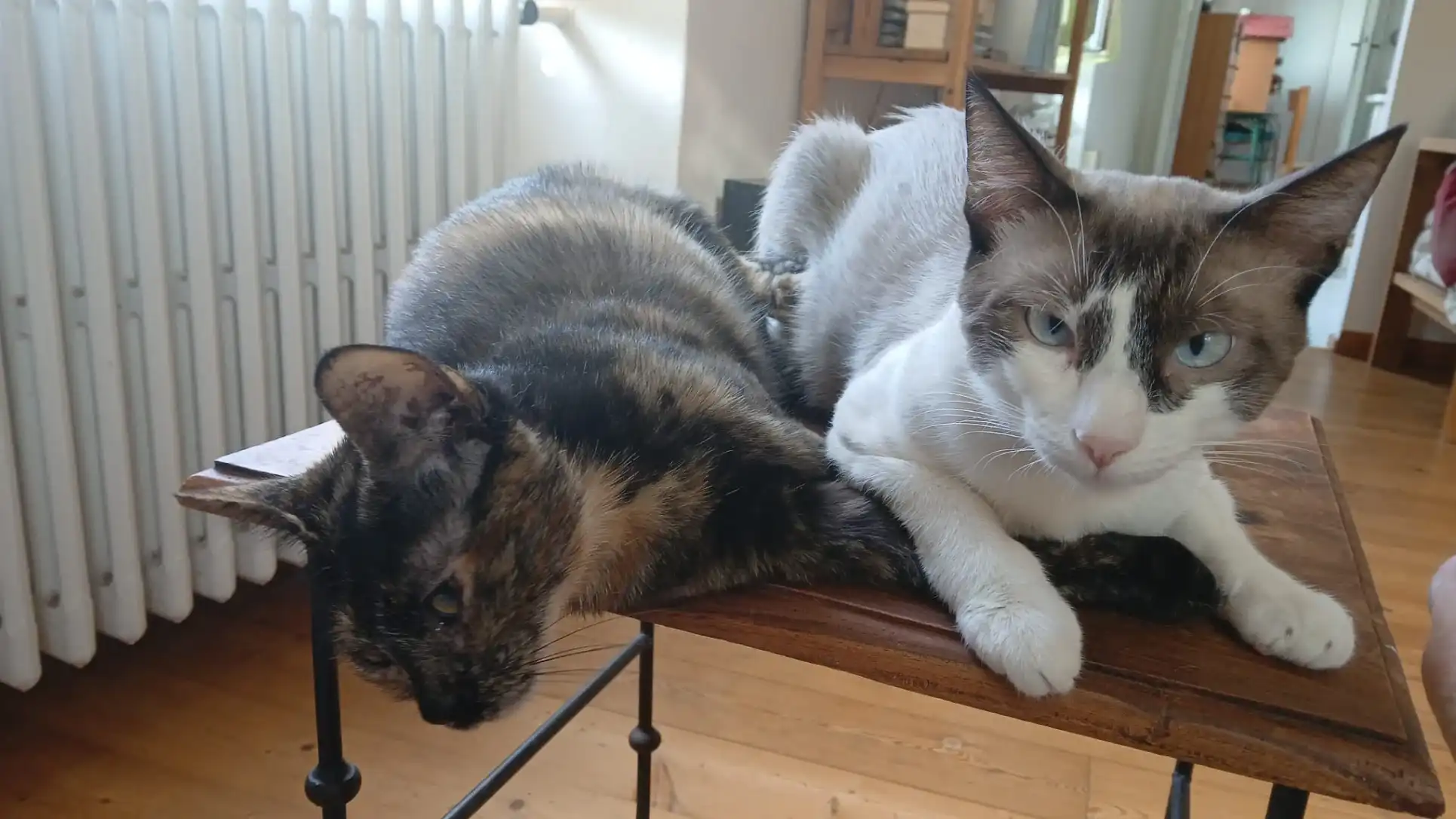 image-16