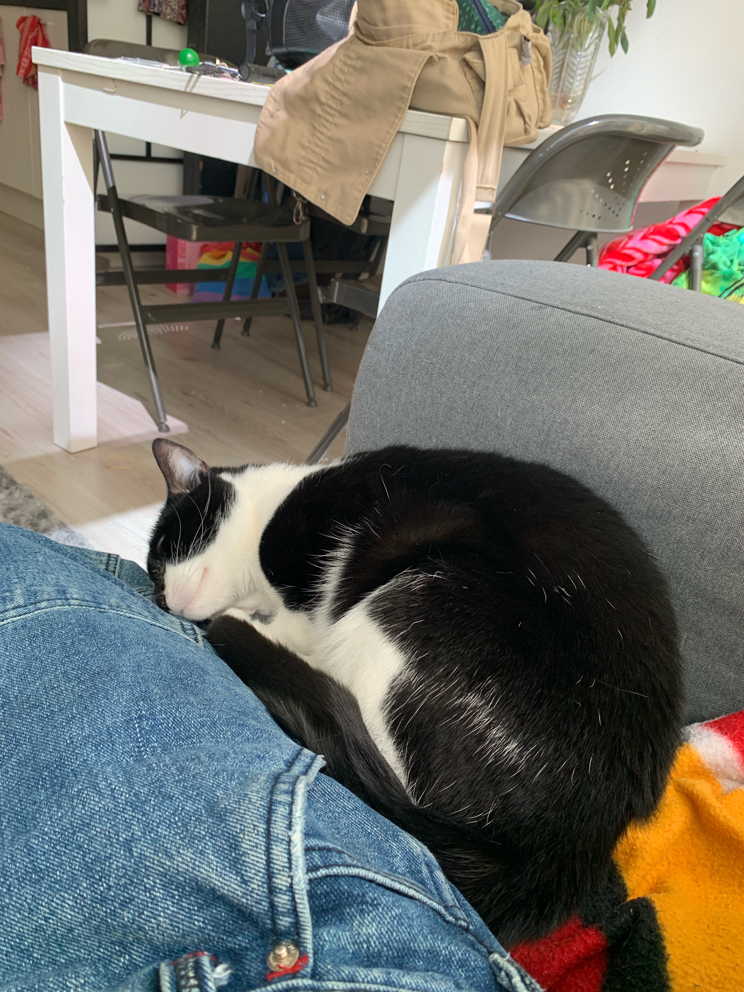 image-11