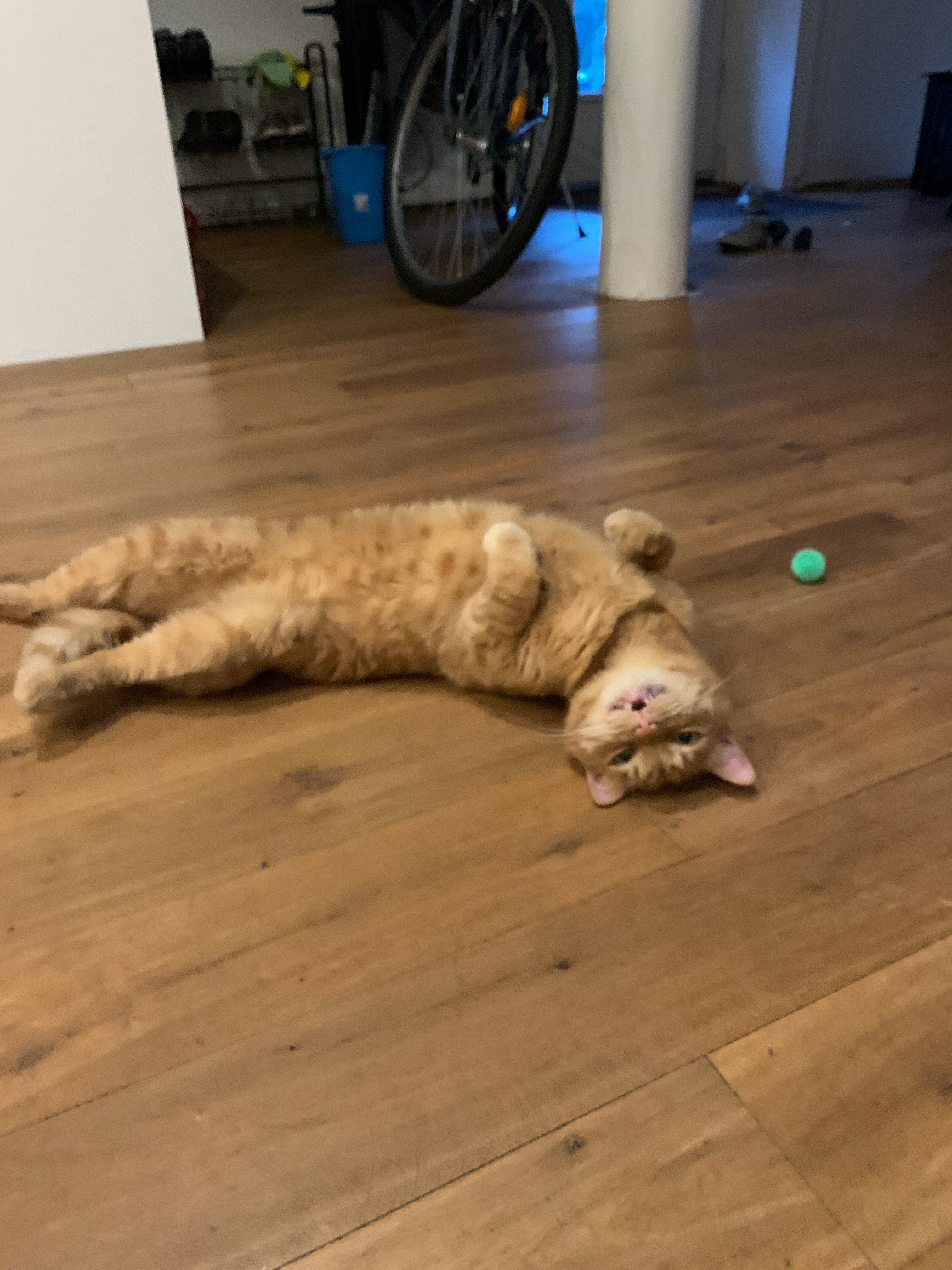 image-16