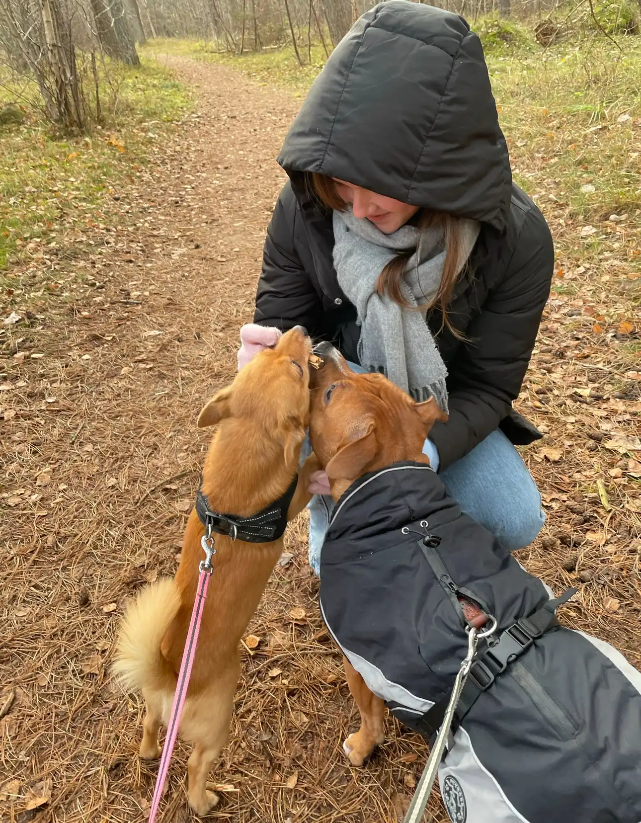 image-6