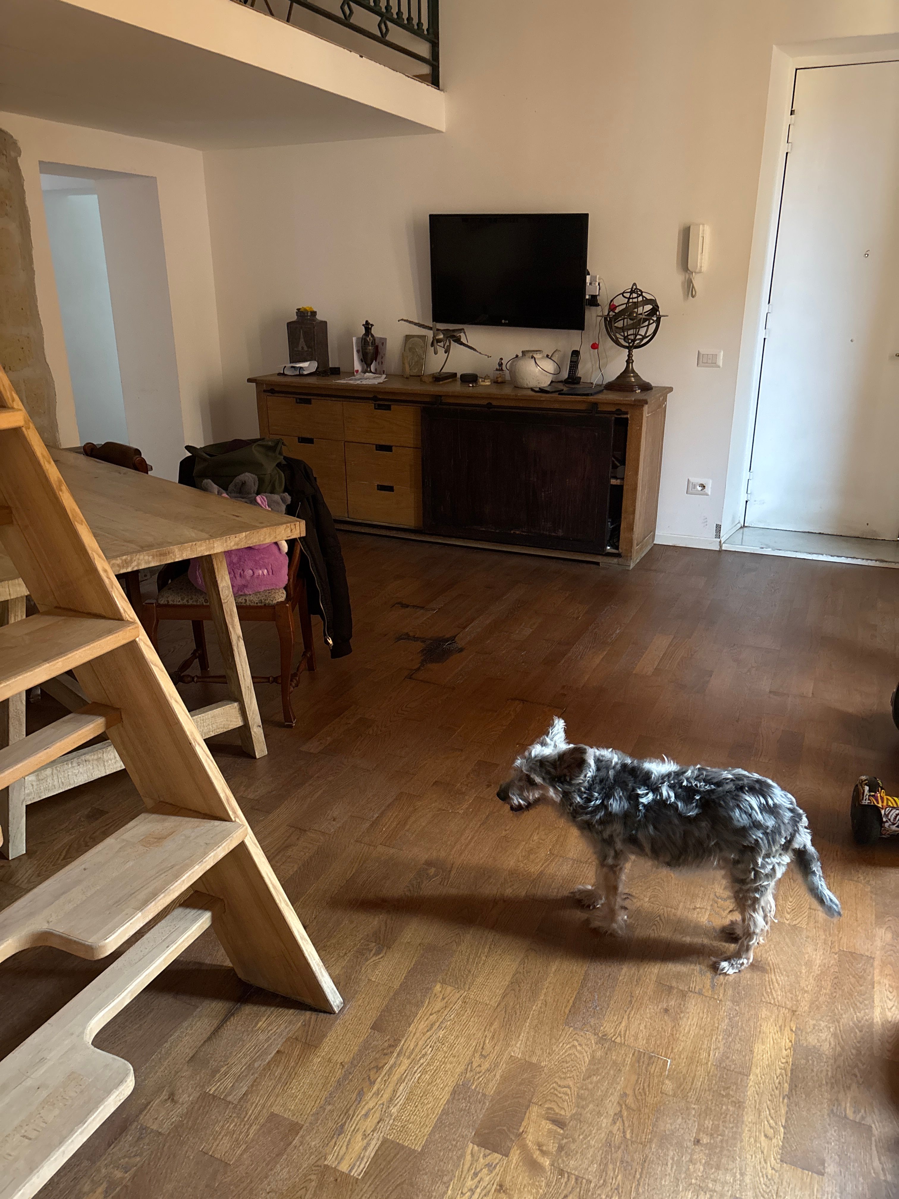 image-19