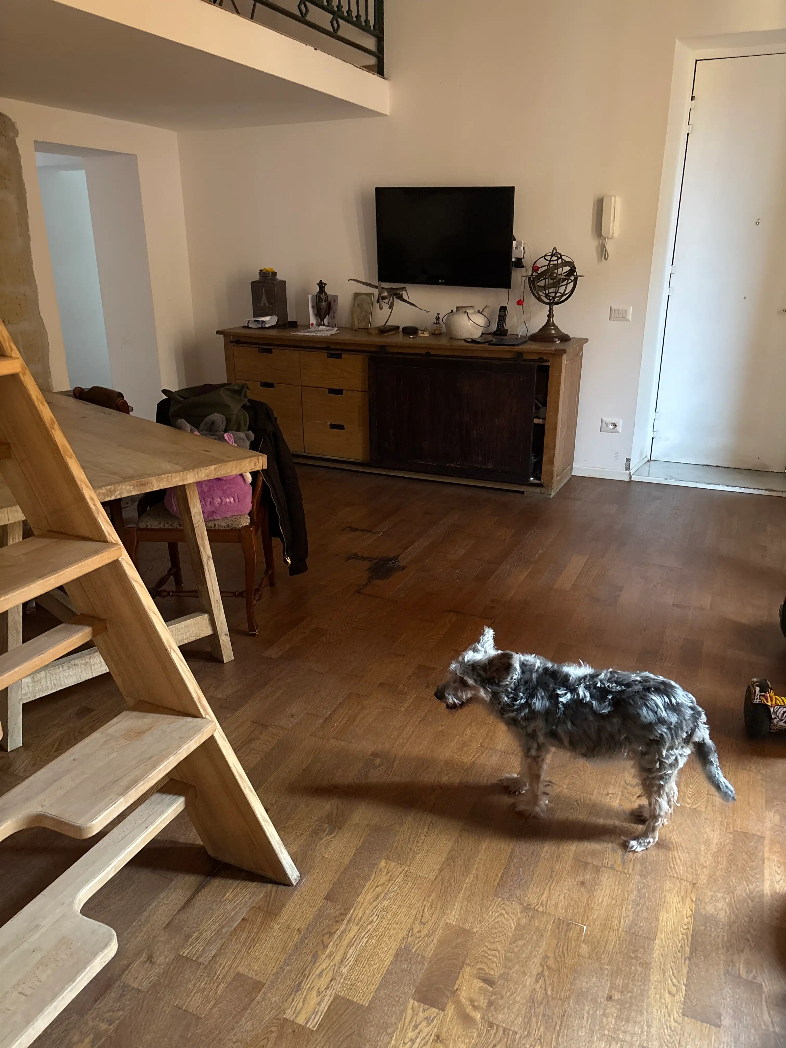 image-19