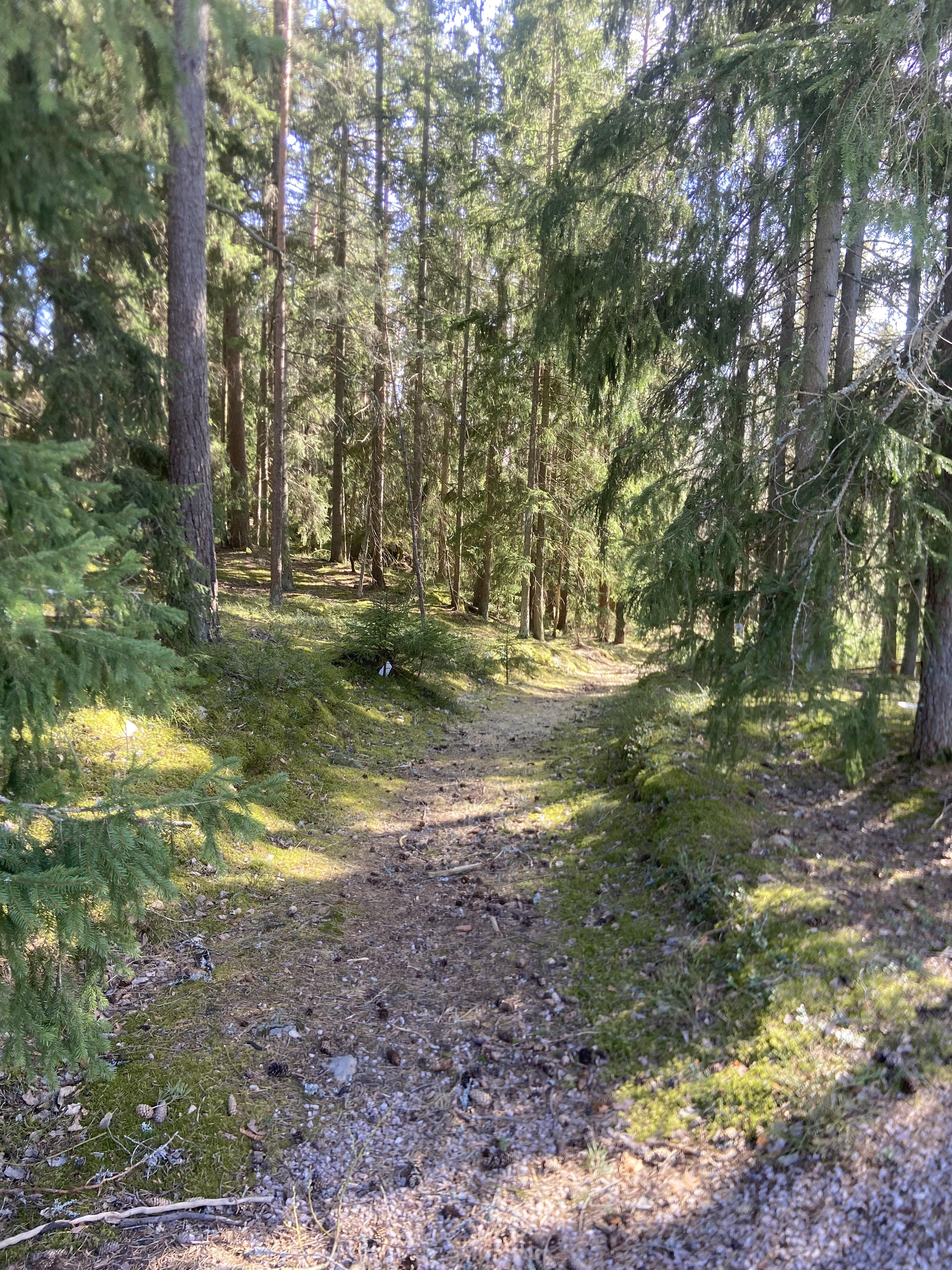 image-6