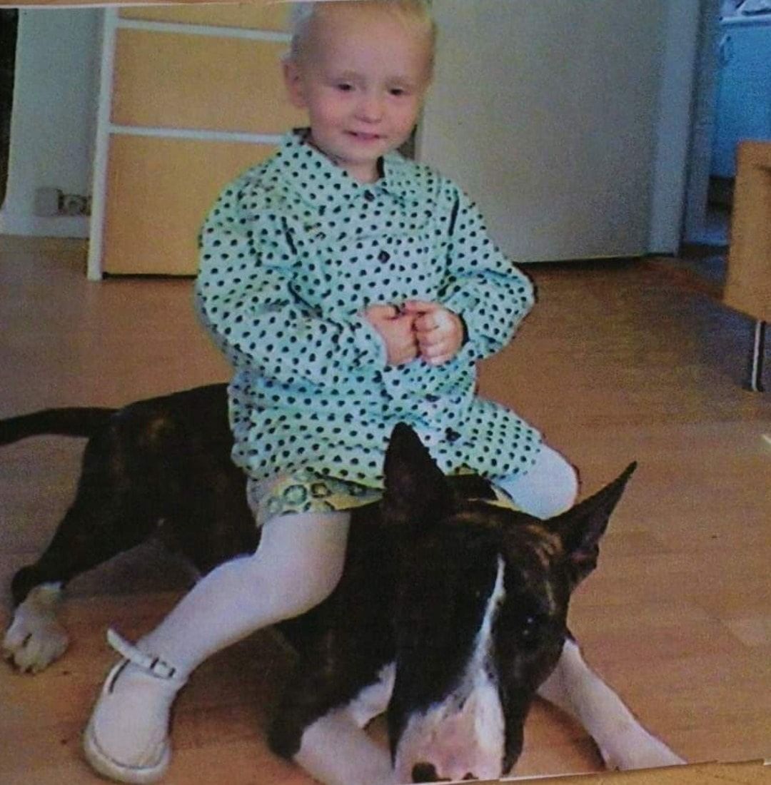 image-24