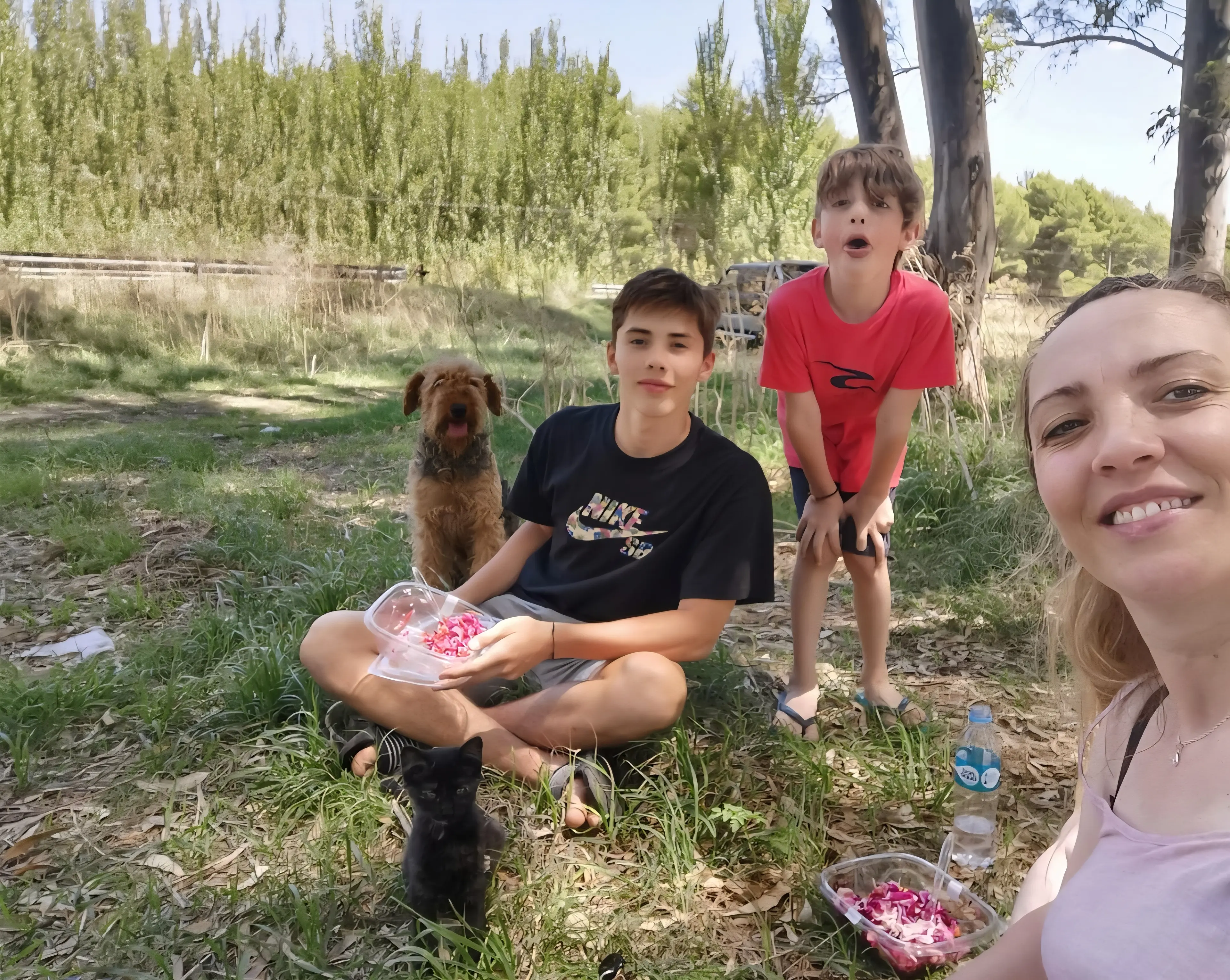 image-4