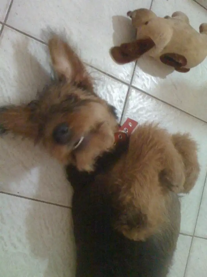 image-8