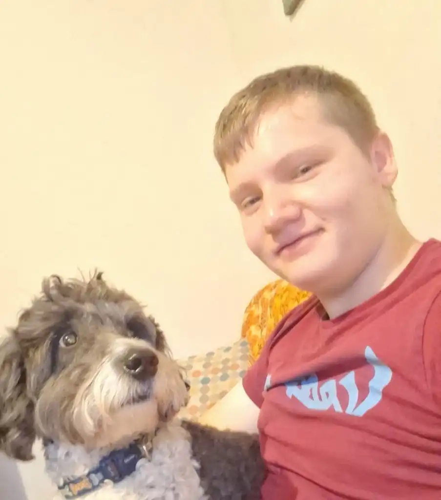 image-12