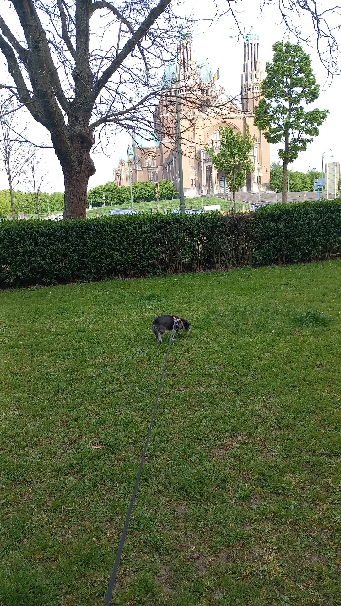 image-12