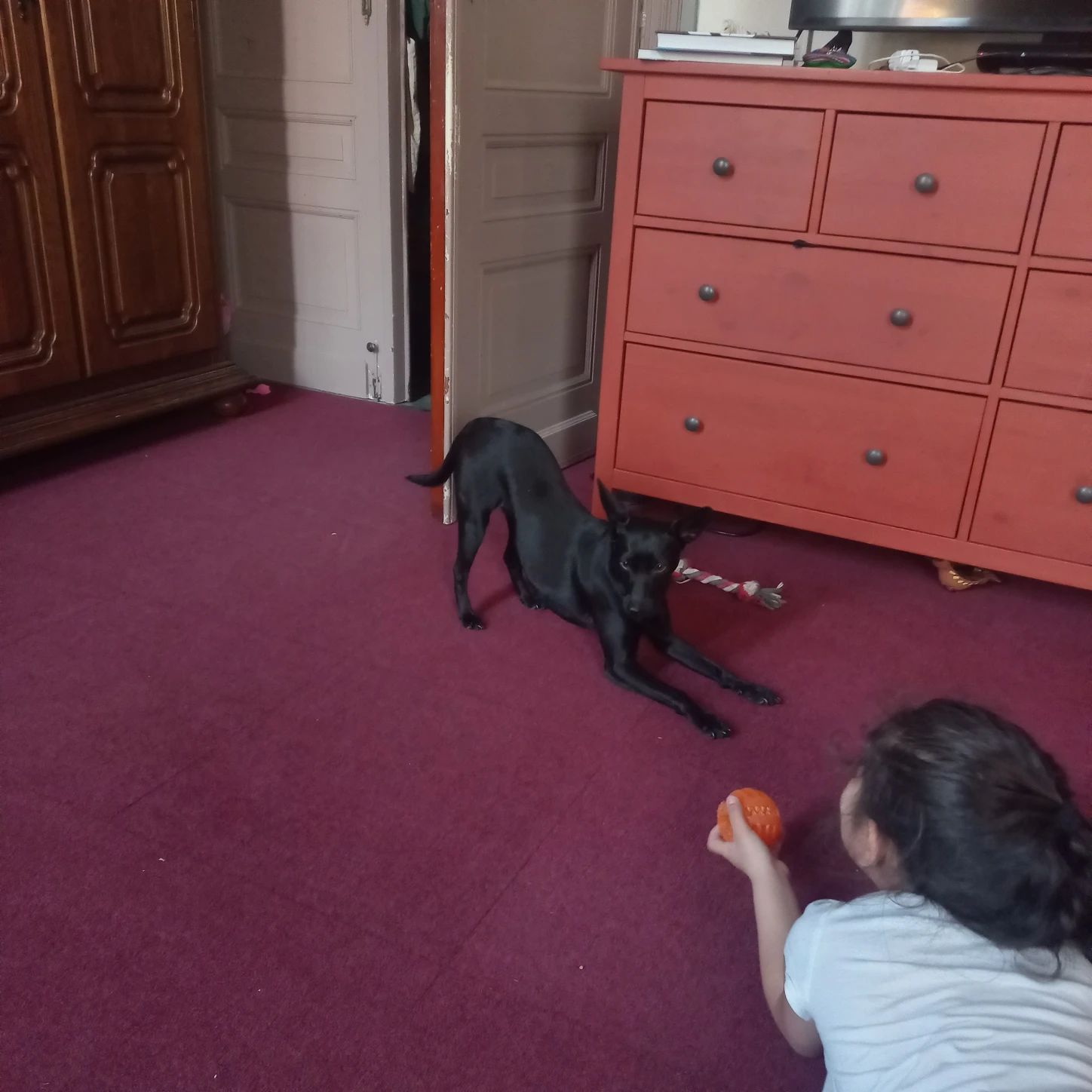 image-10