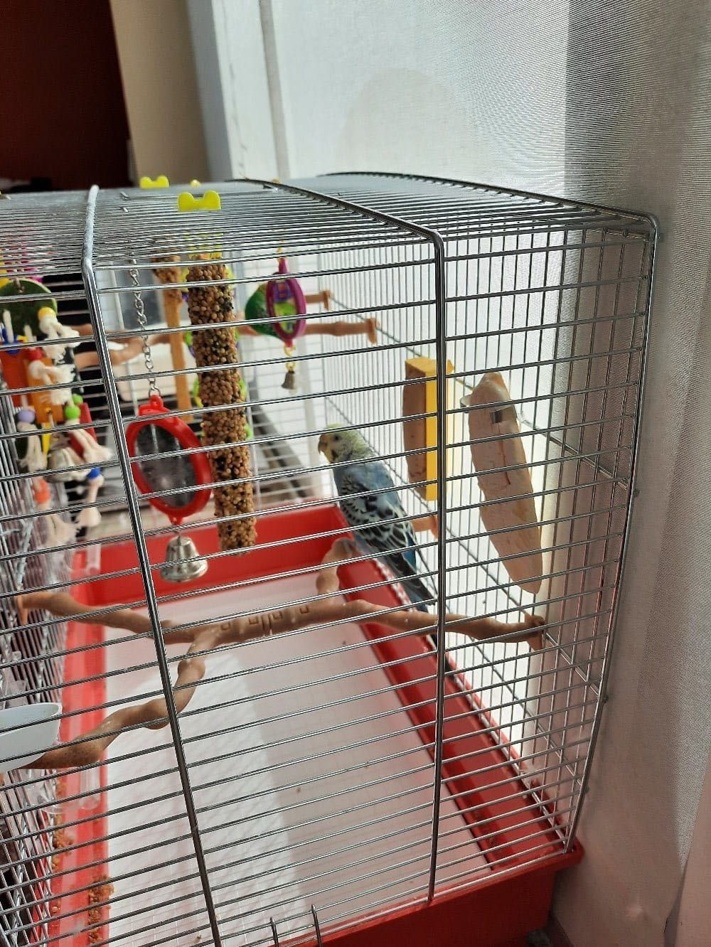 image-7