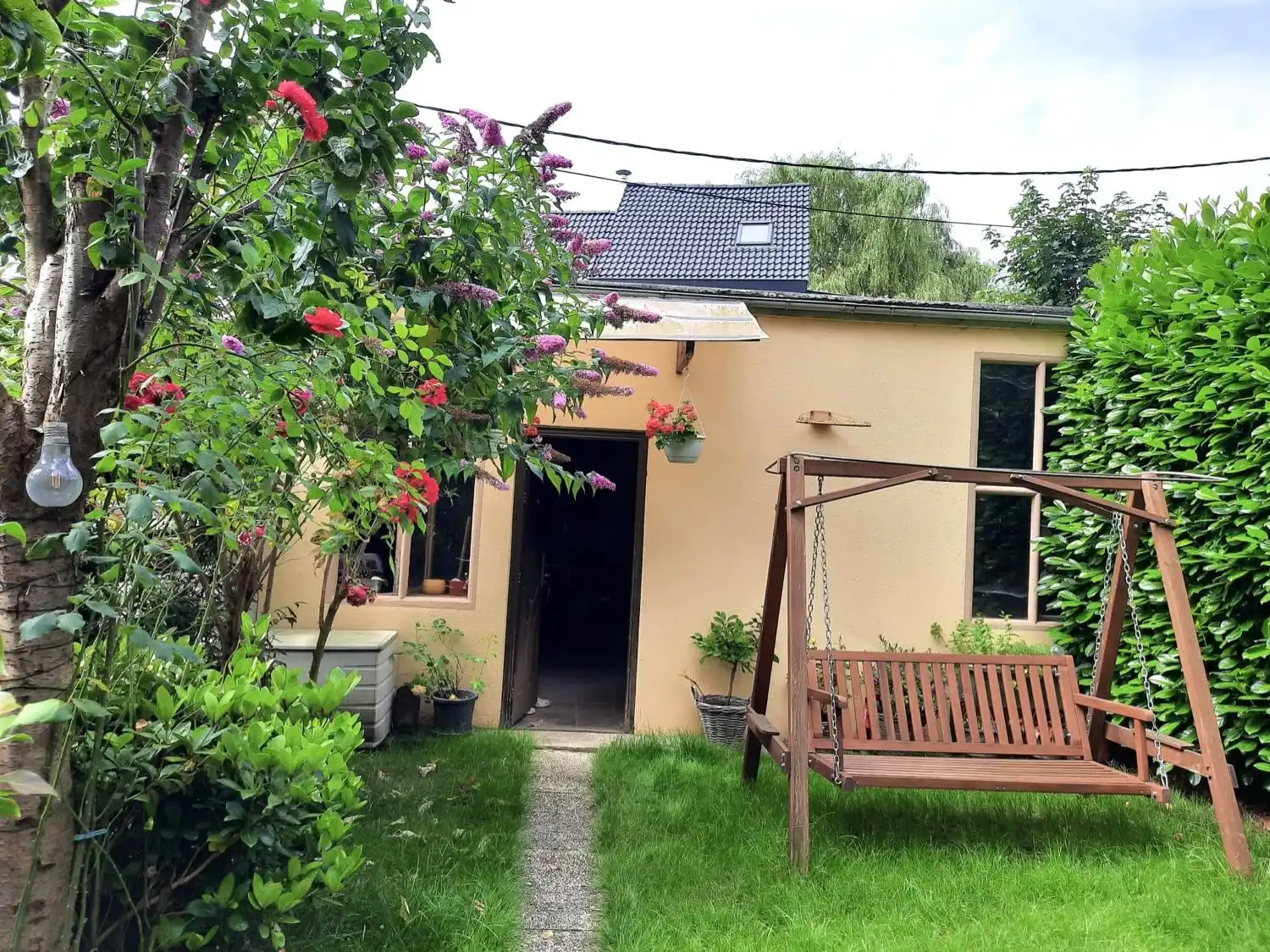image-16