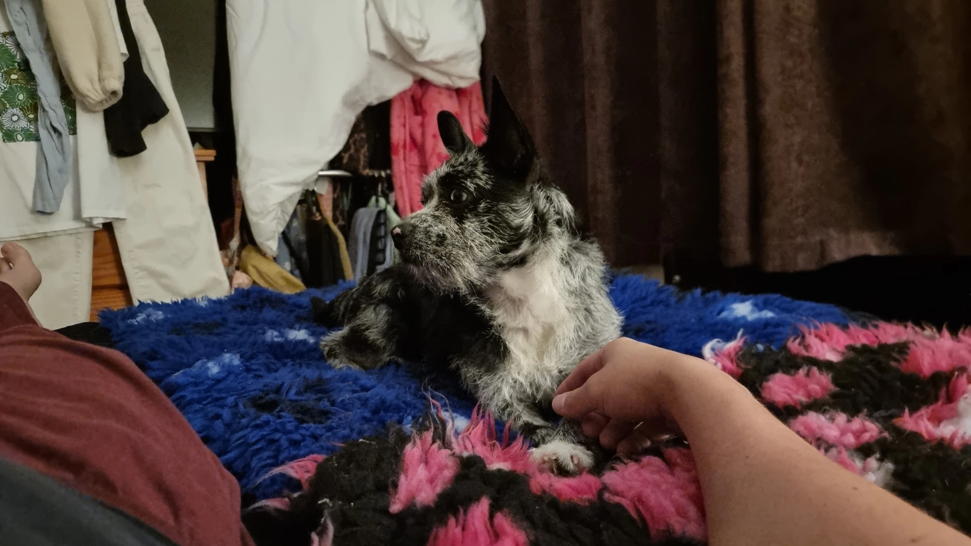 image-7
