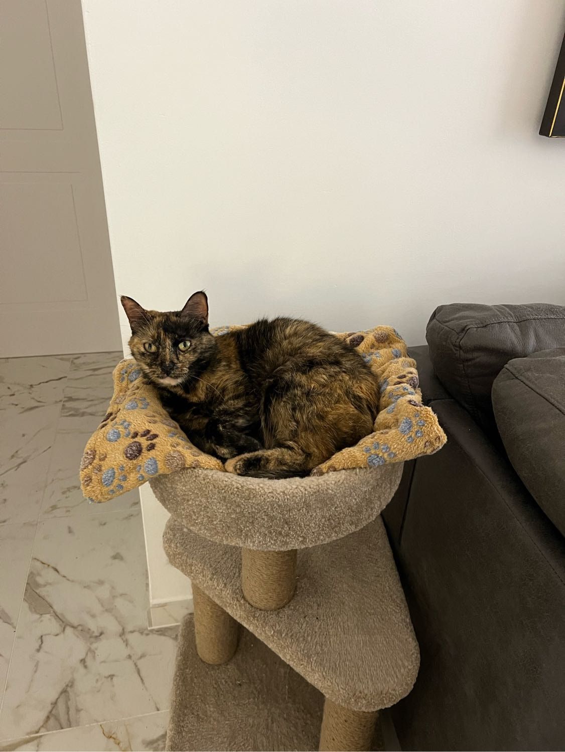 image-16