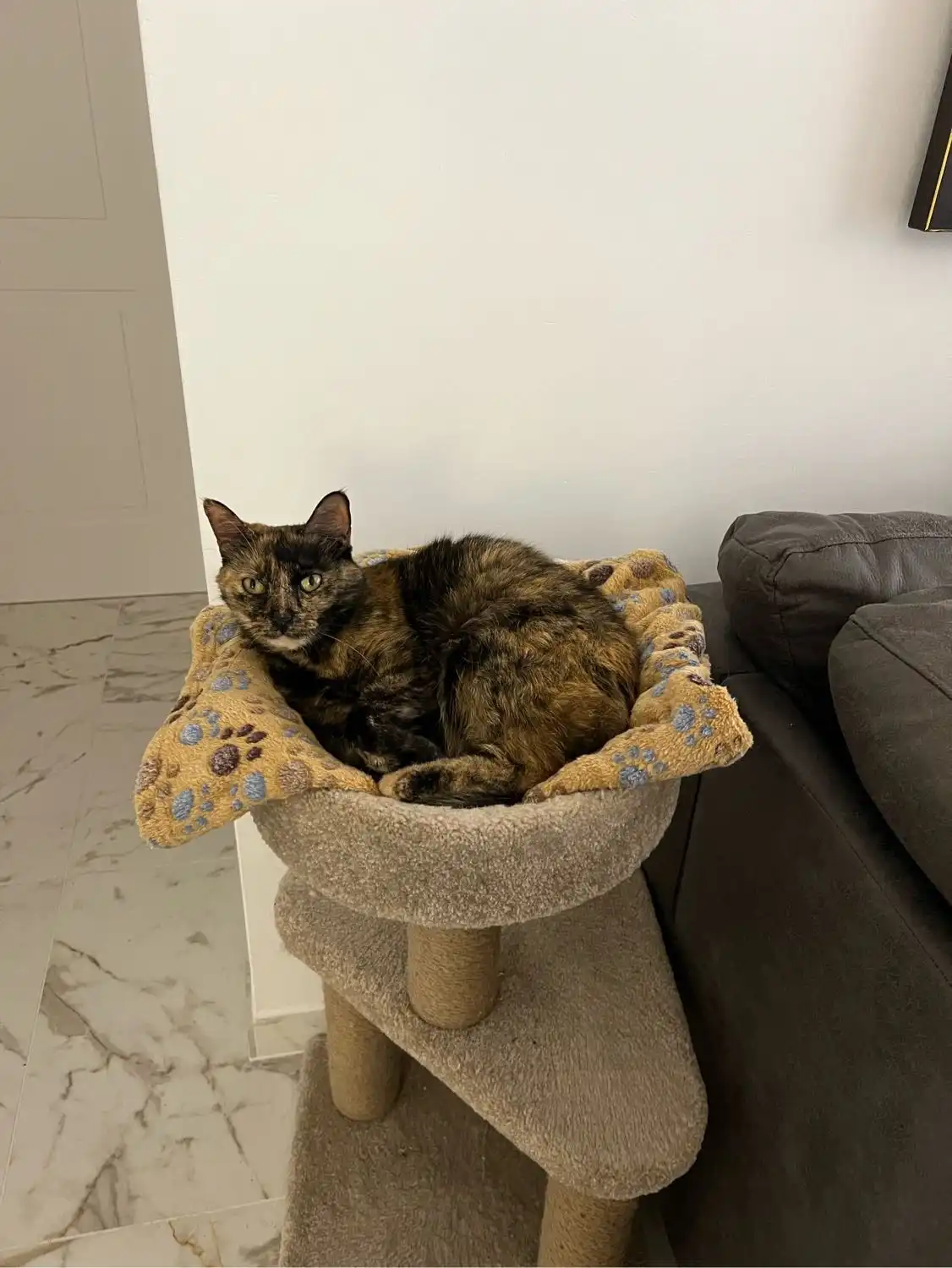 image-16