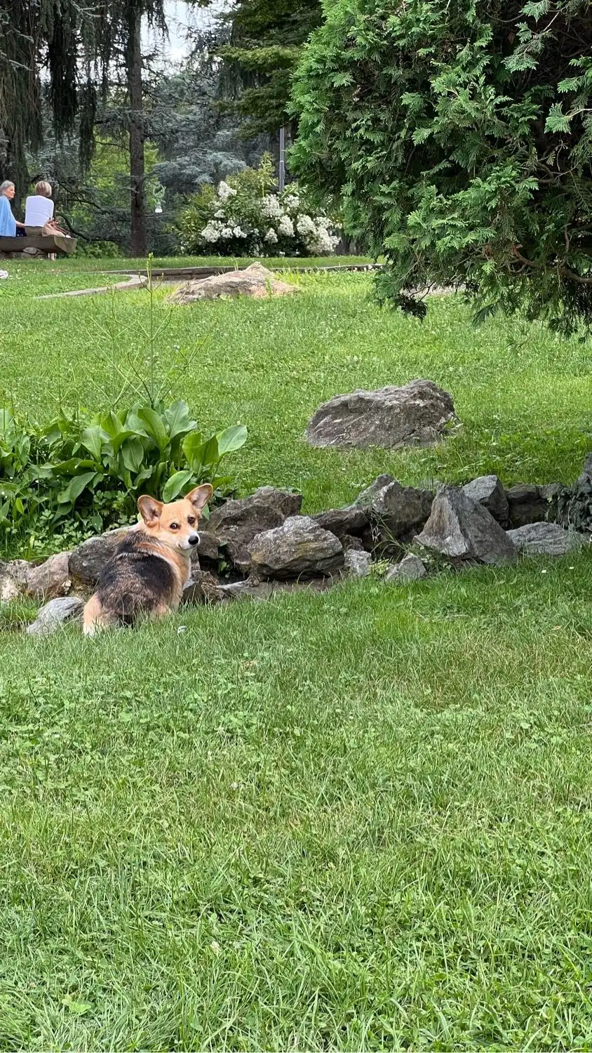 image-11