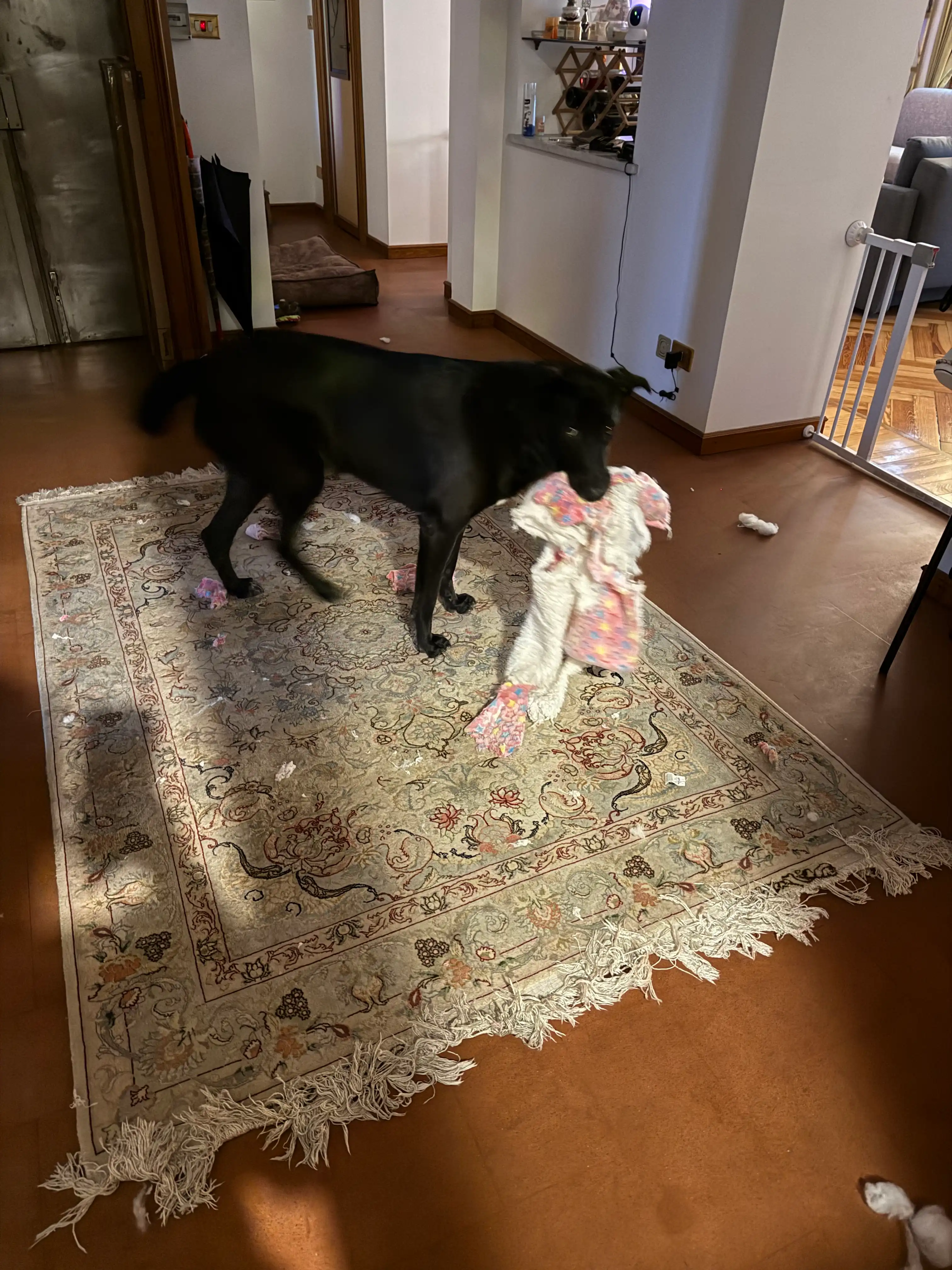image-32